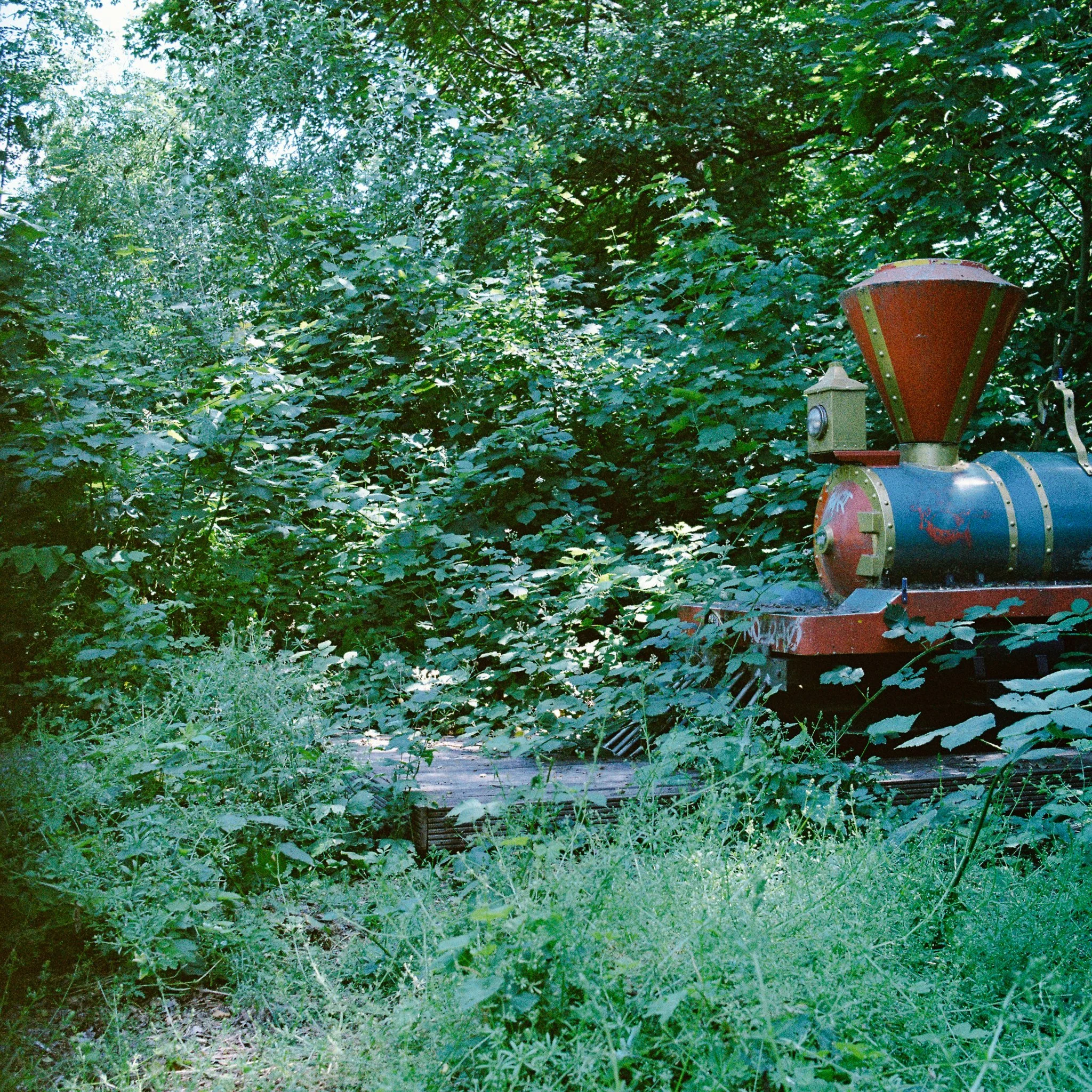 lost in the woods, Kono Monsoon