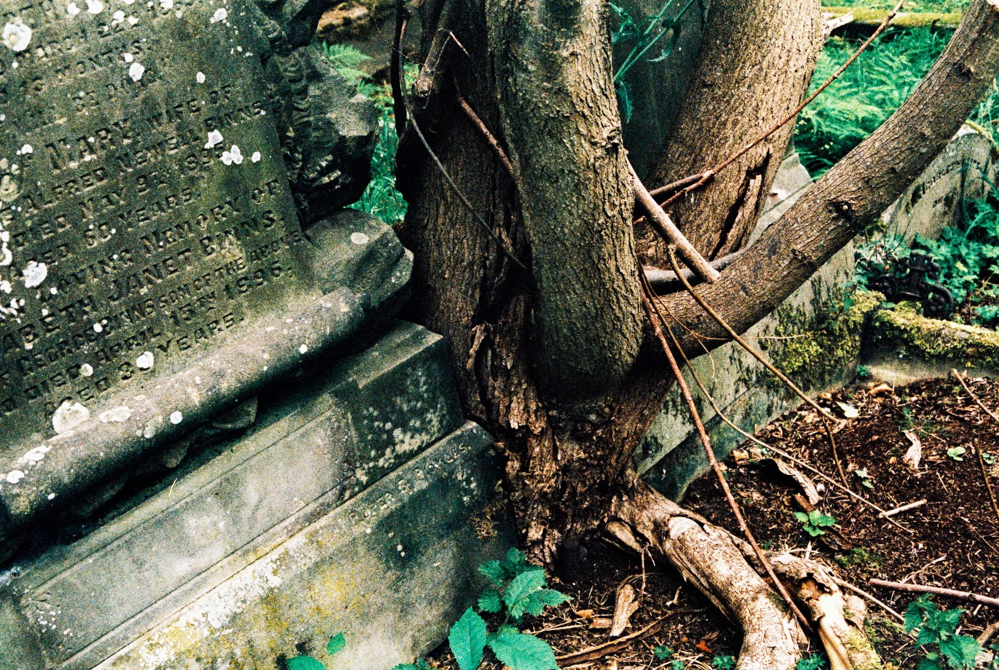 she persisted. Haworth Parish churchyard, Yorkshire