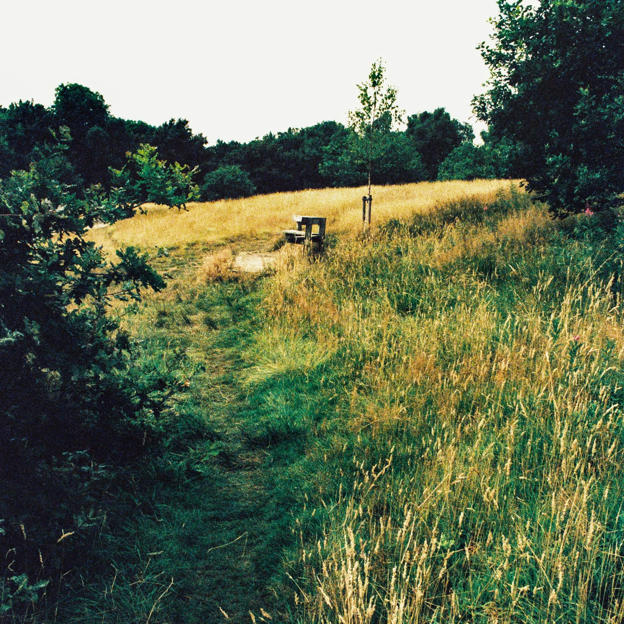 Tandle Hill July 2026 for web-04.jpg