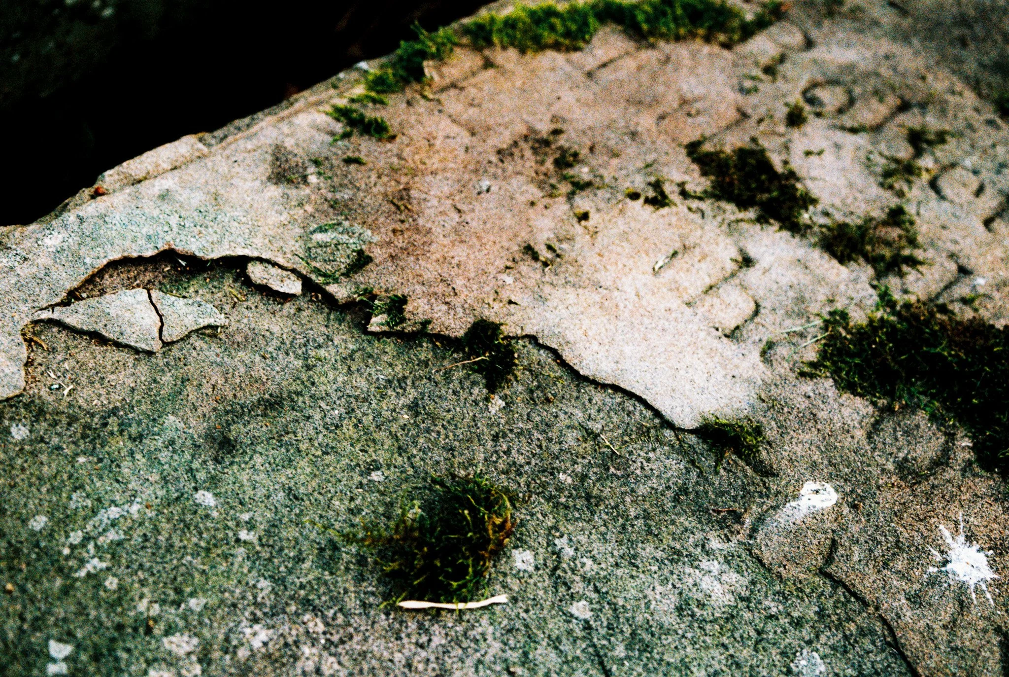 exfoliati II. St. Peter's churchyard, Heysham
