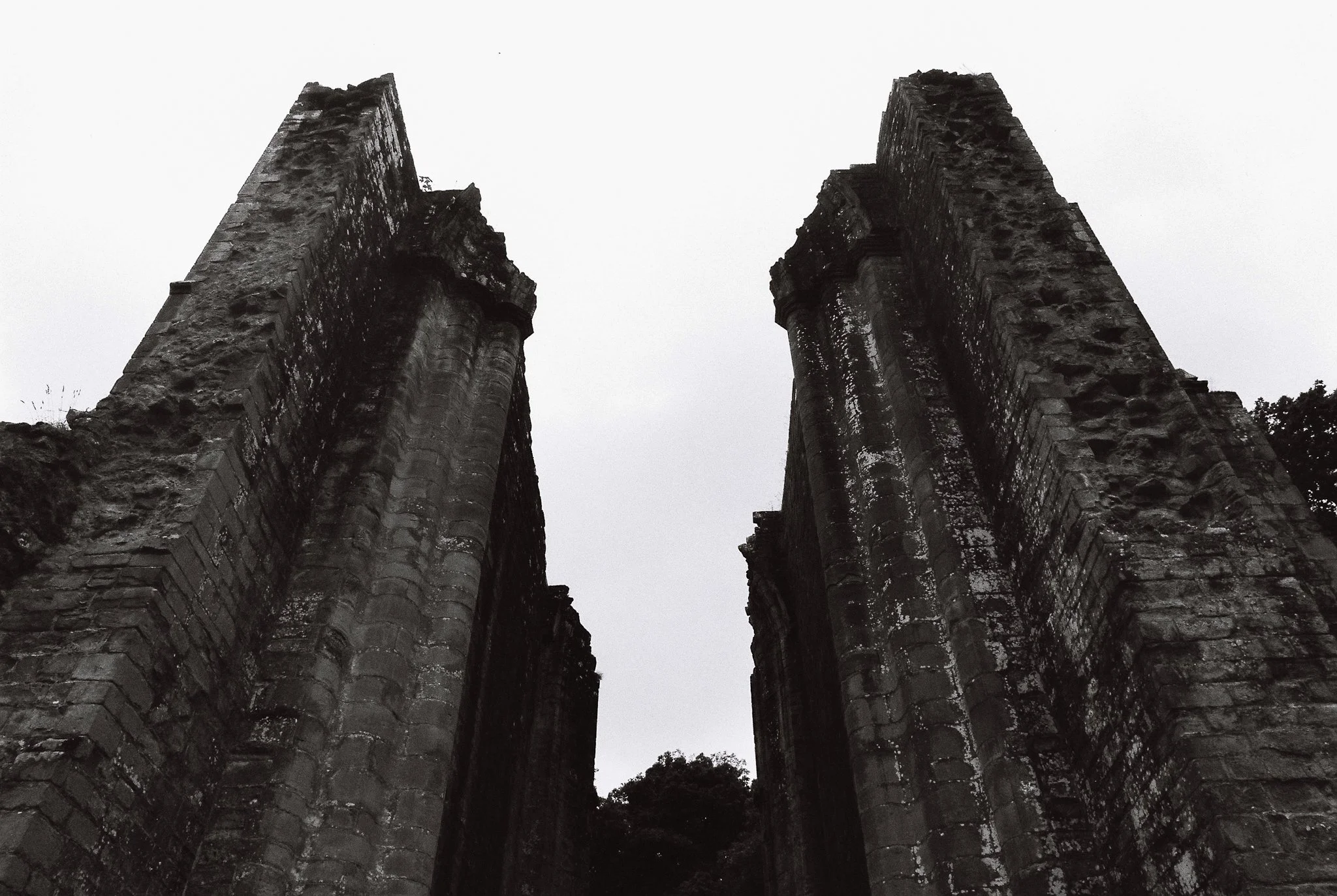 nave remains, Furness Abbey