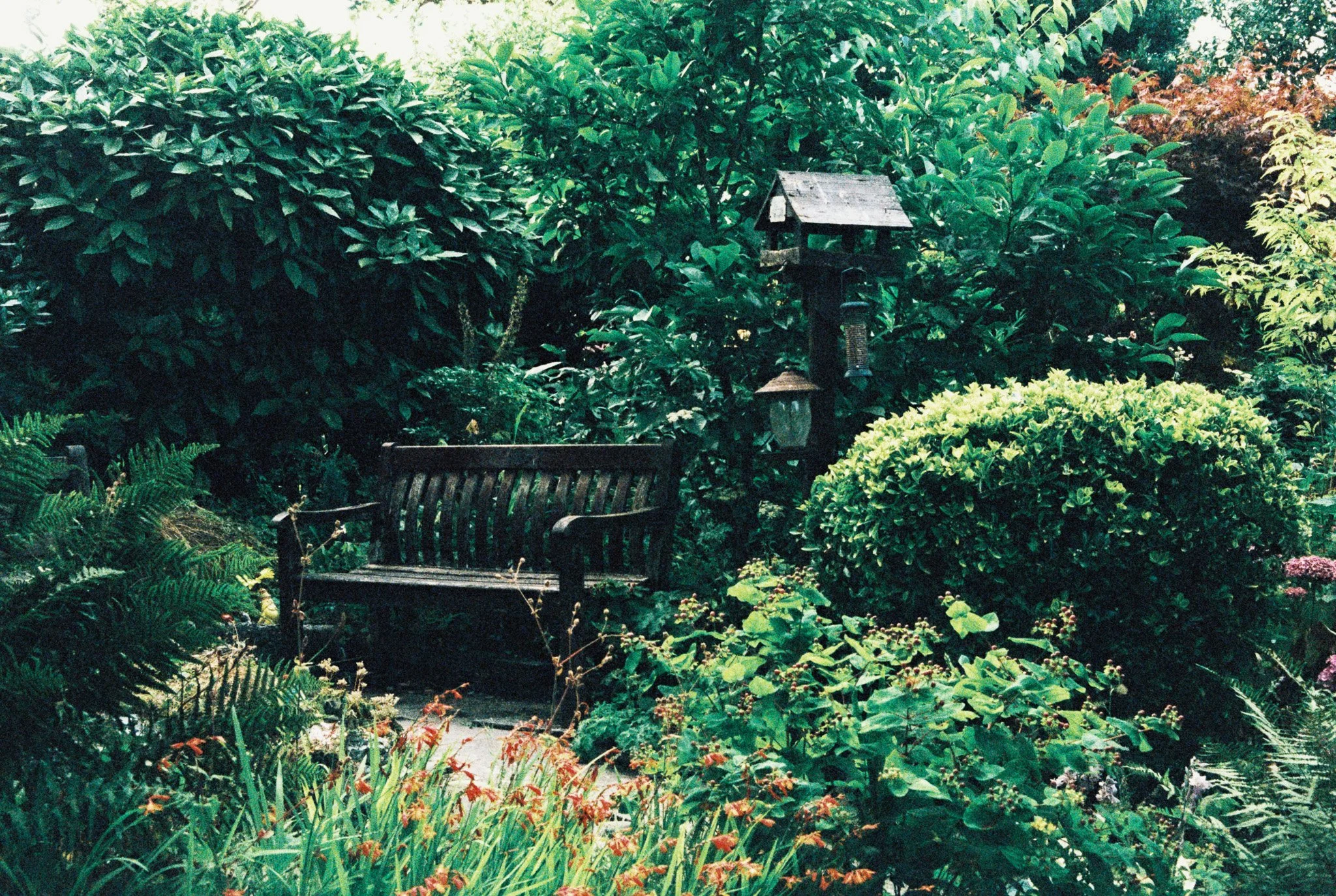 R1-09618-0031.jpg