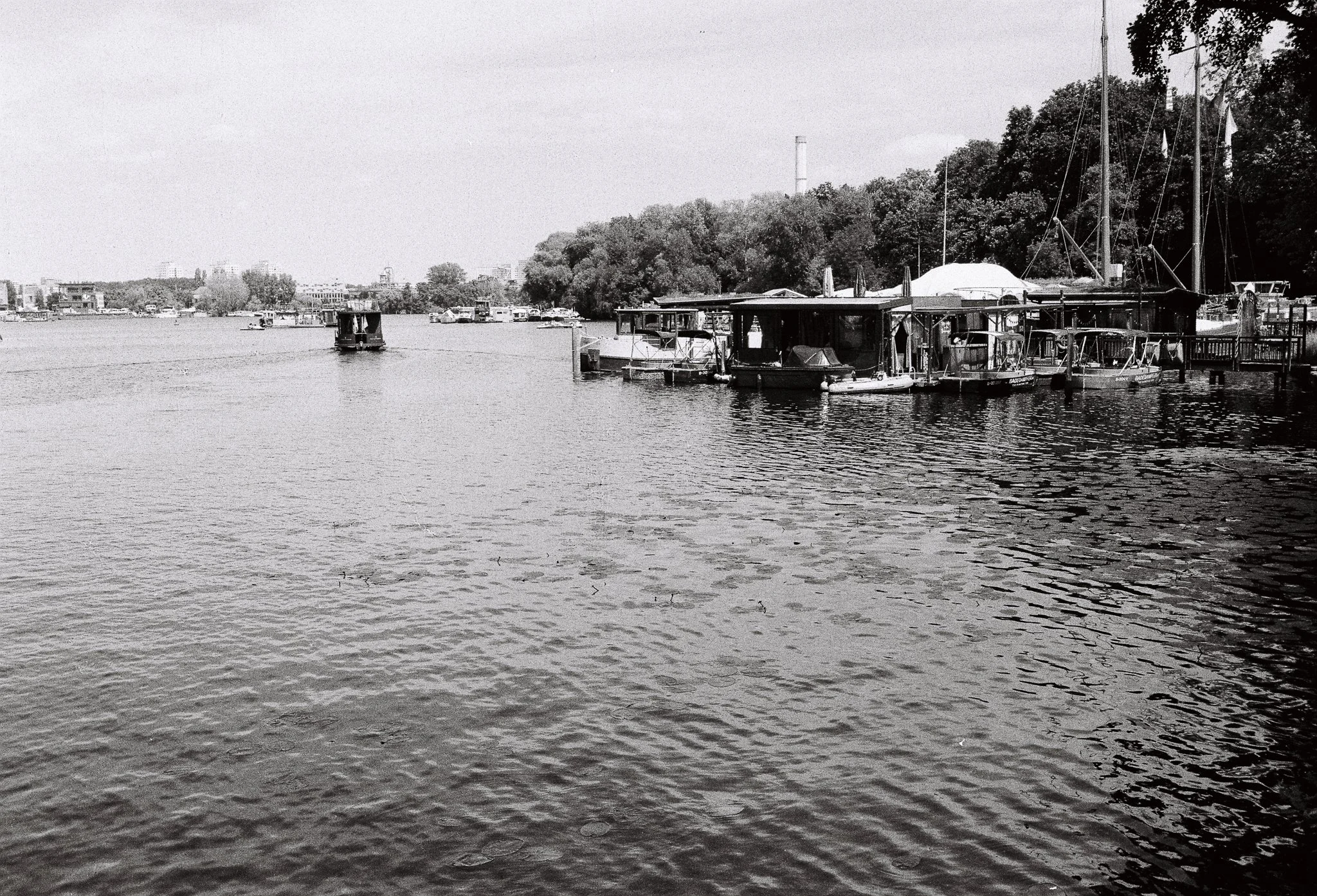 marina, Ilford HP5+