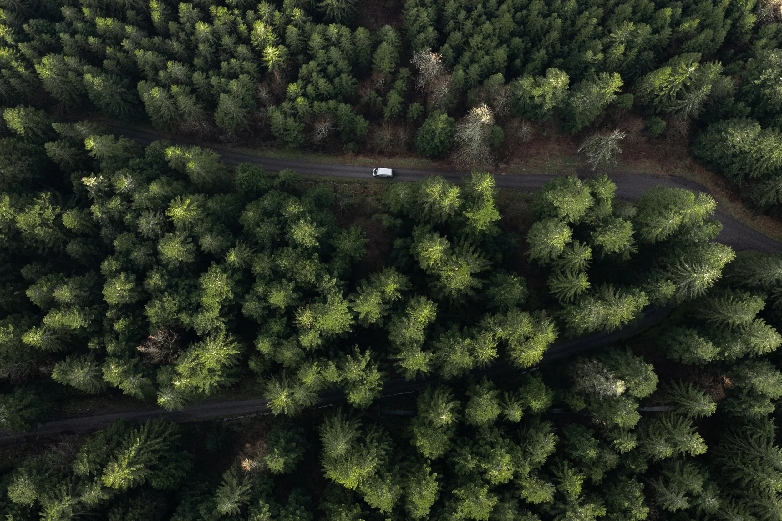 DJI_20240315090301_0069_D copie.jpg
