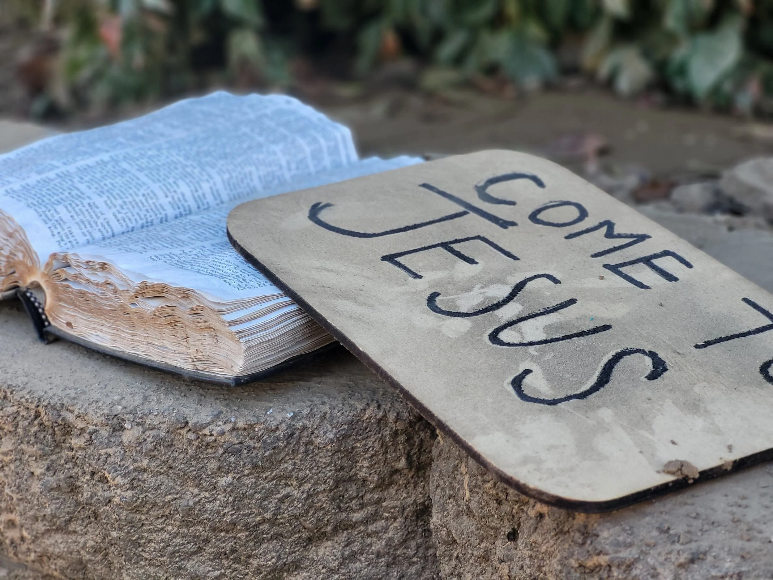 Close-up of a handmade cardboard sign with the words "Love Is Enough" written in bold black letters, placed on a concrete surface with a blurred background of green foliage.