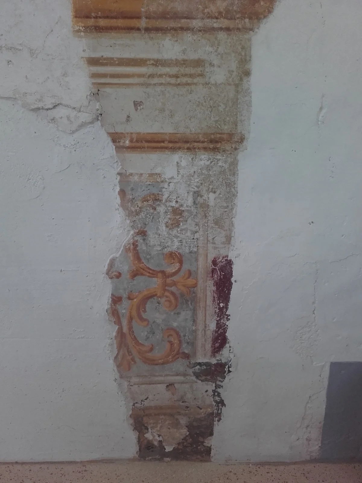 20190329_114511.jpg
