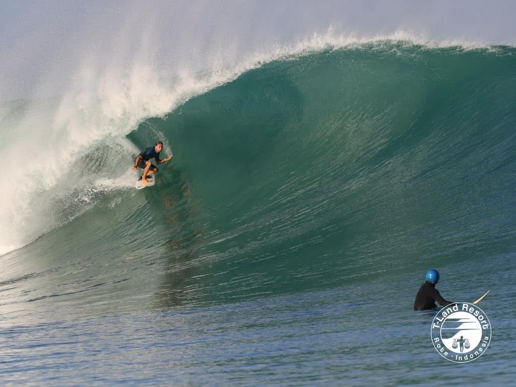 Surfer riding a long wave at T-Land, Rote Island, Indonesia