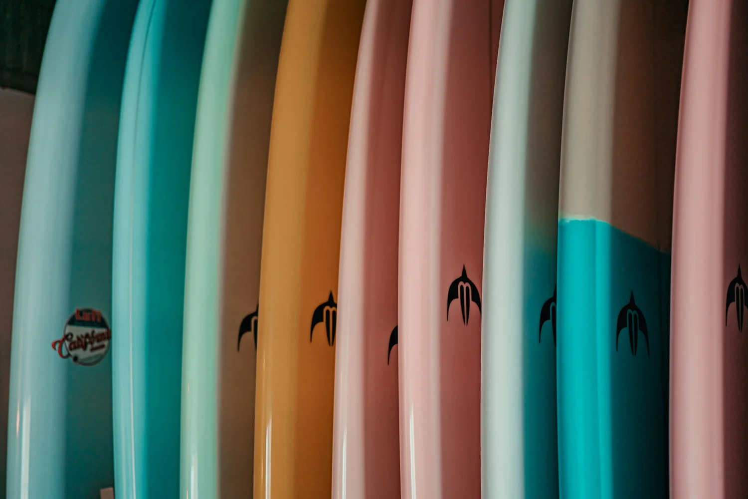 A row of soft-top surfboards