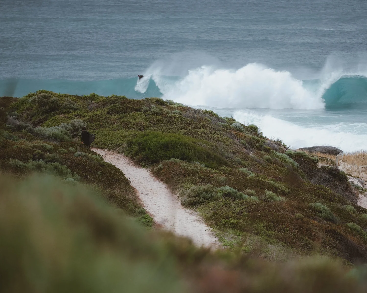 A coastal path through the dunes down to the sea