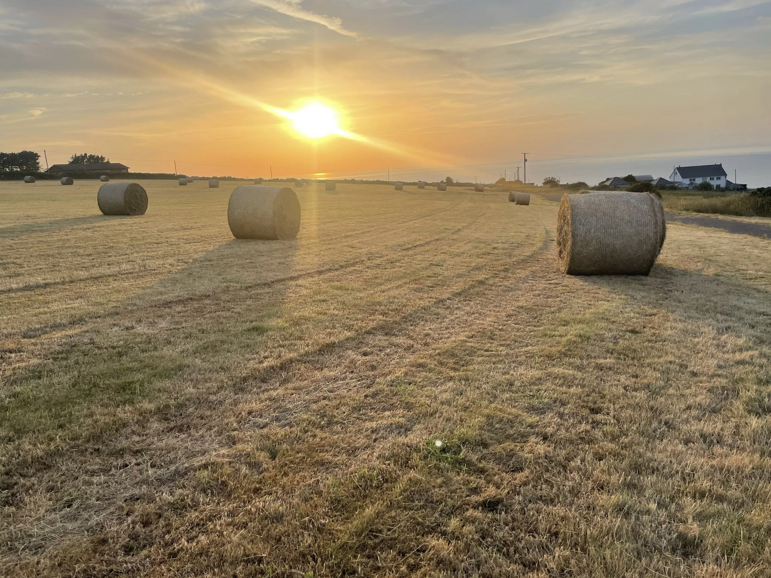 Hay bales on our fields