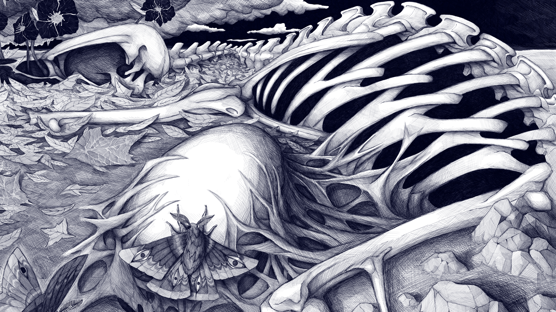 Une illustration en noir et blanc représentant des restes d'un squelette animal, avec des feuilles, une fleur, un papillon et un papillon de nuit à proximité, dans un style artistique détaillé.