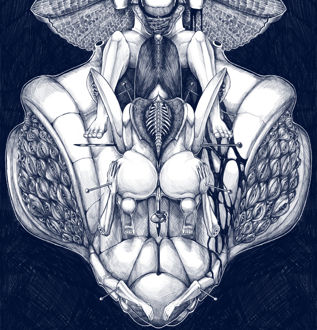 Illustration complexe montrant une composition symétrique de divers éléments organiques et biologiques, incluant des insectes, des tissus et des structures anatomiques.