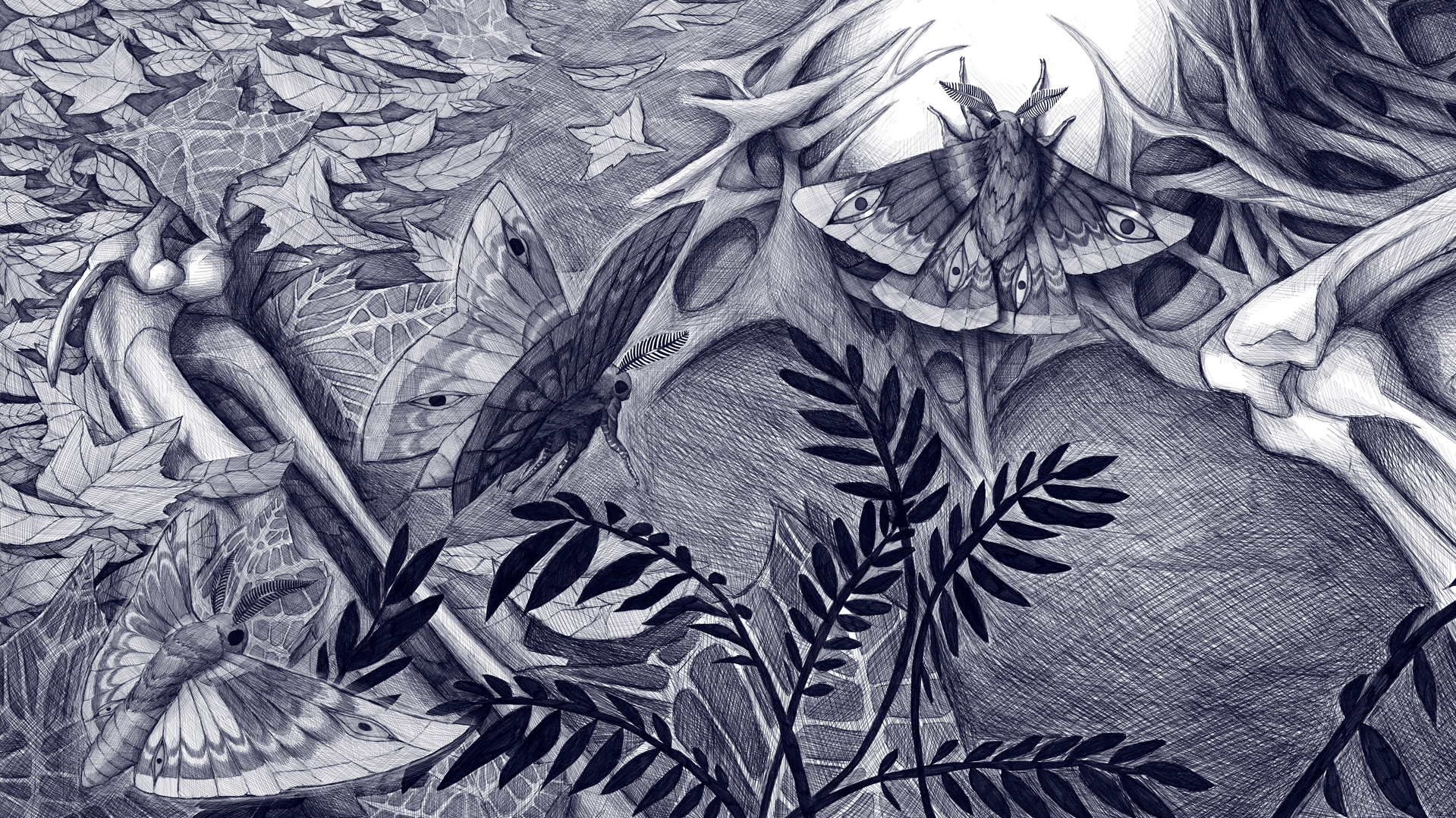 Une illustration en noir et blanc représentant des papillons, des feuilles et des éléments de la nature, avec un style graphique détaillé.