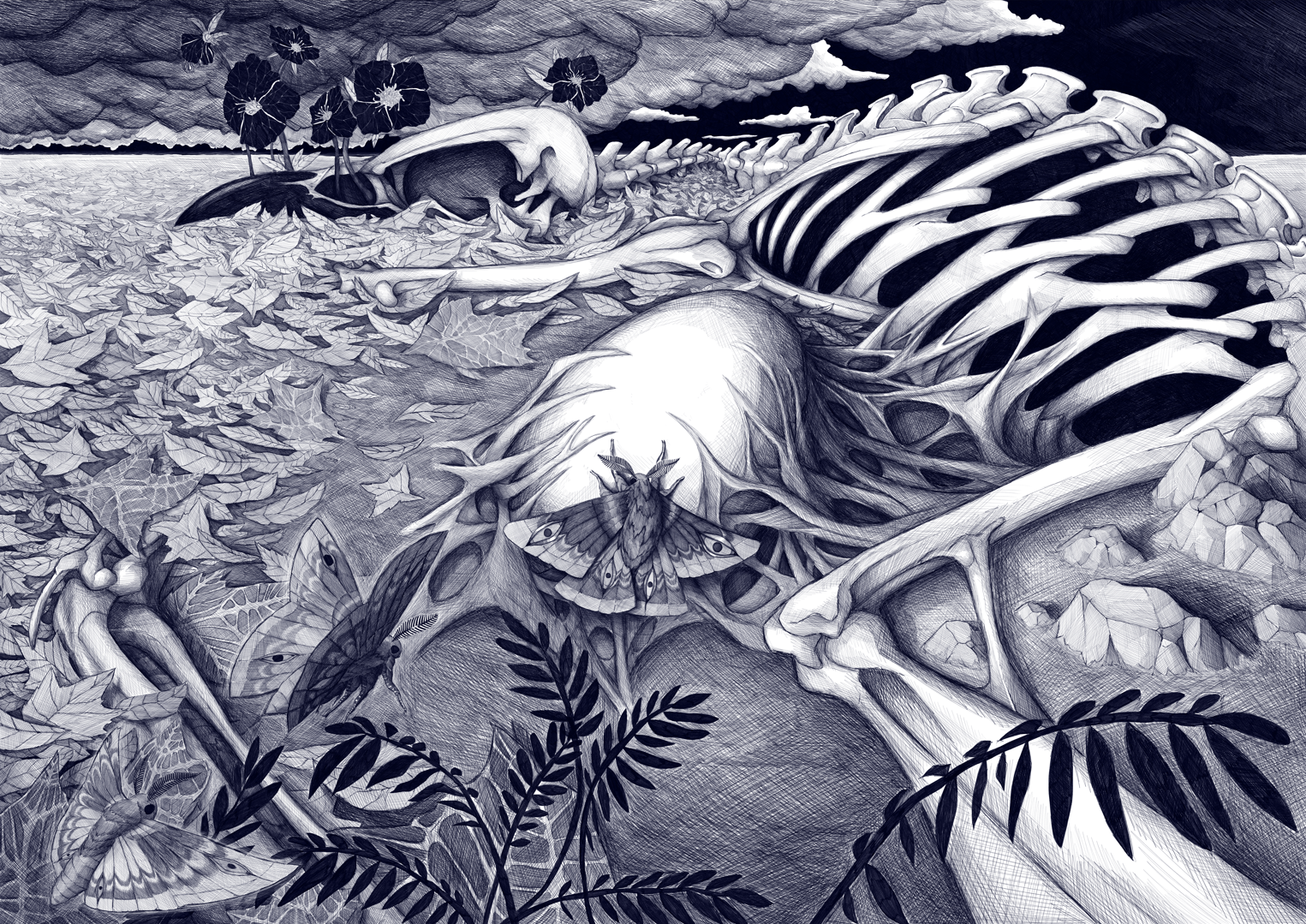 Une illustration en noir et blanc d'un squelette d'animal, probablement un mammifère, recouvert de feuilles et entouré de papillons et d'oiseaux sur un fond nuageux.