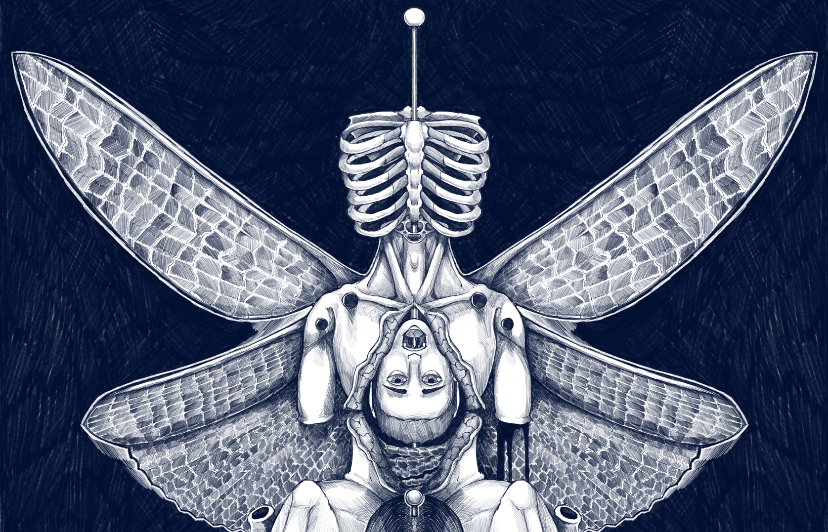 Une illustration en noir et blanc représentant un humain avec des ailes de libellule attachées à son dos, vue de face, avec un fond sombre.