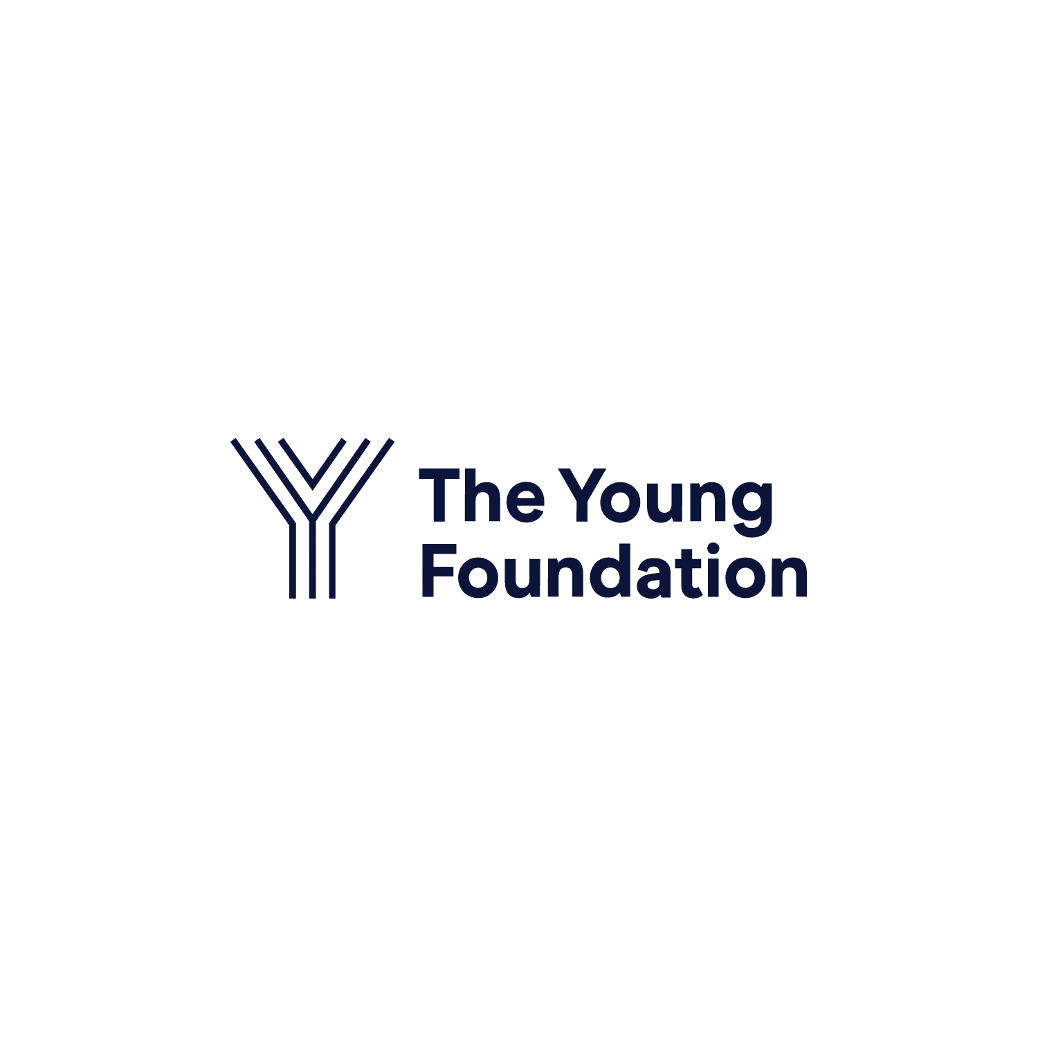 The logo of The Young Foundation with a minimalist stylized 'Y' icon to the left of the organization’s name in bold navy blue text.