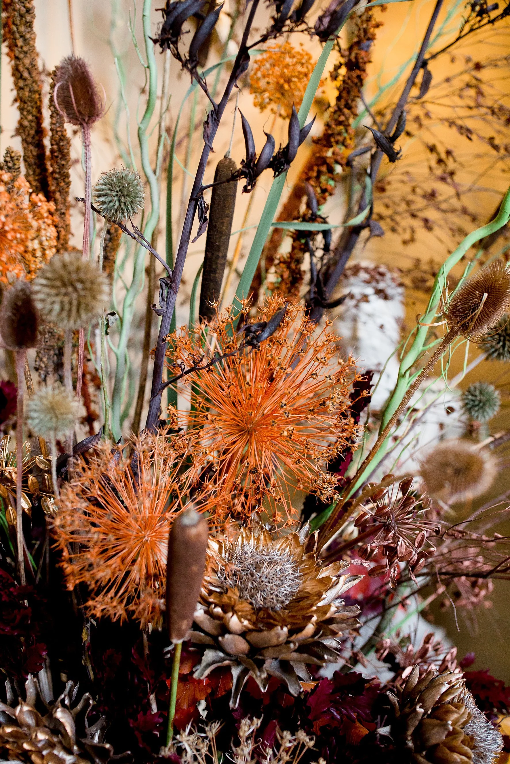 A colorful arrangement of dried flowers and plants, including orange, brown, and neutral tones, with various textures and shapes.