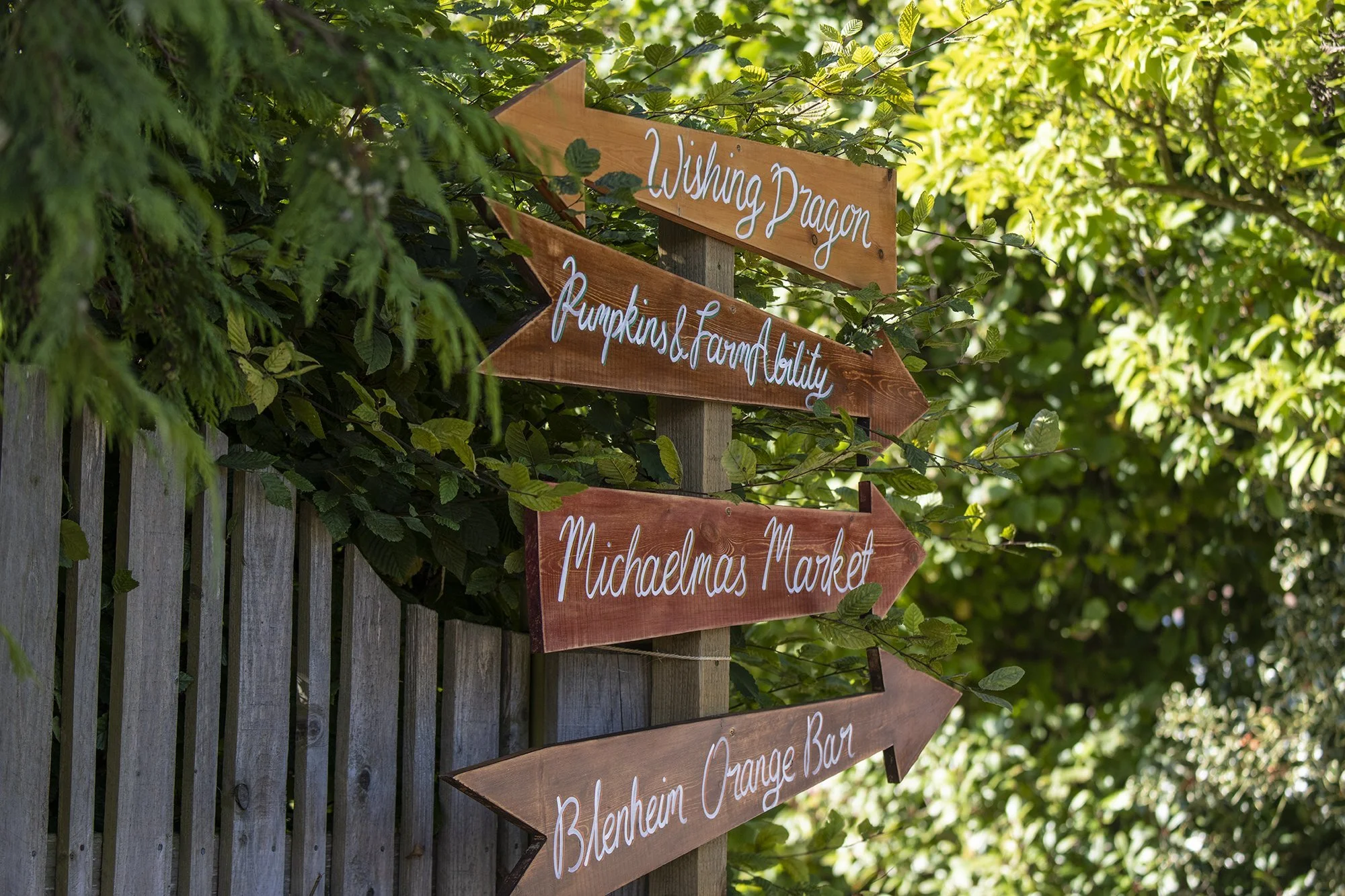 Wooden signs with white cursive text pointing in various directions, surrounded by green leaves and a wooden fence. The signs read 'Wishing Dragon,' 'Pumpkins & Farm Folicity,' 'Michelmas Market,' and 'Blenheim Orange Bar.'