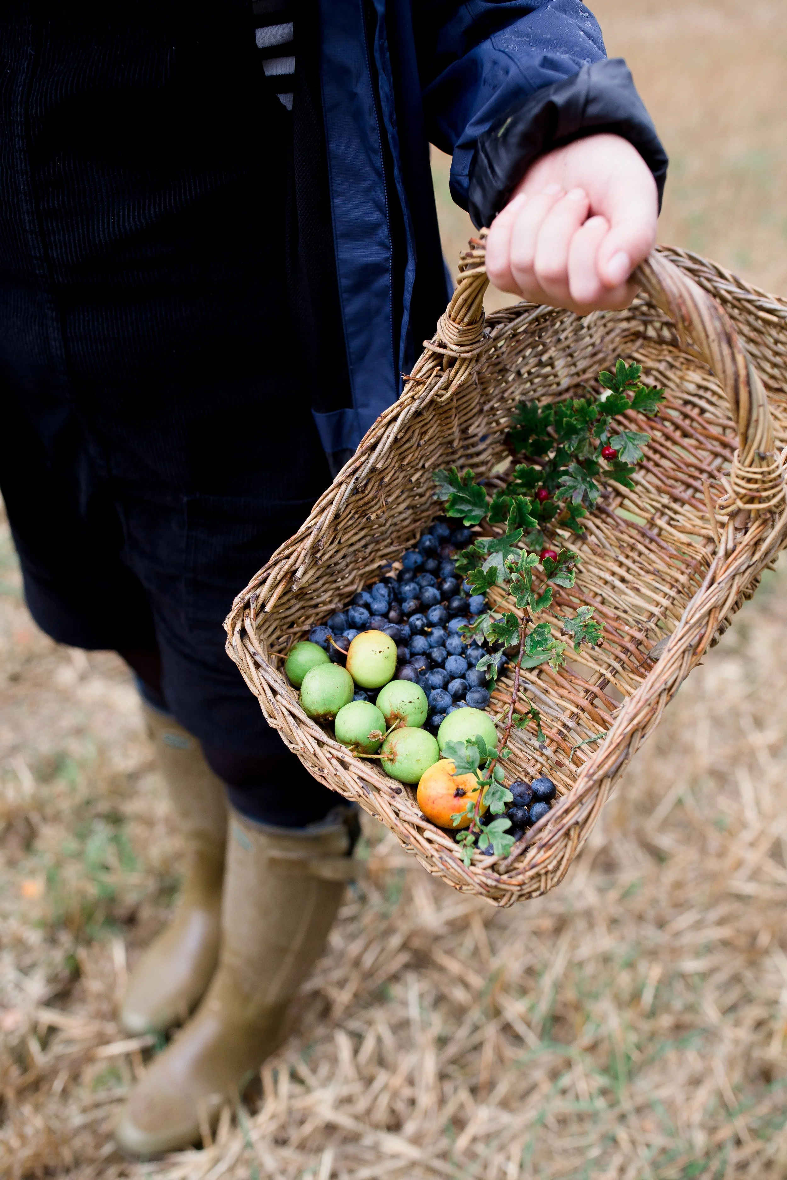 Person holding a wicker basket filled with freshly picked blueberries, apples, and small red berries, wearing tan boots and a dark jacket outdoors.