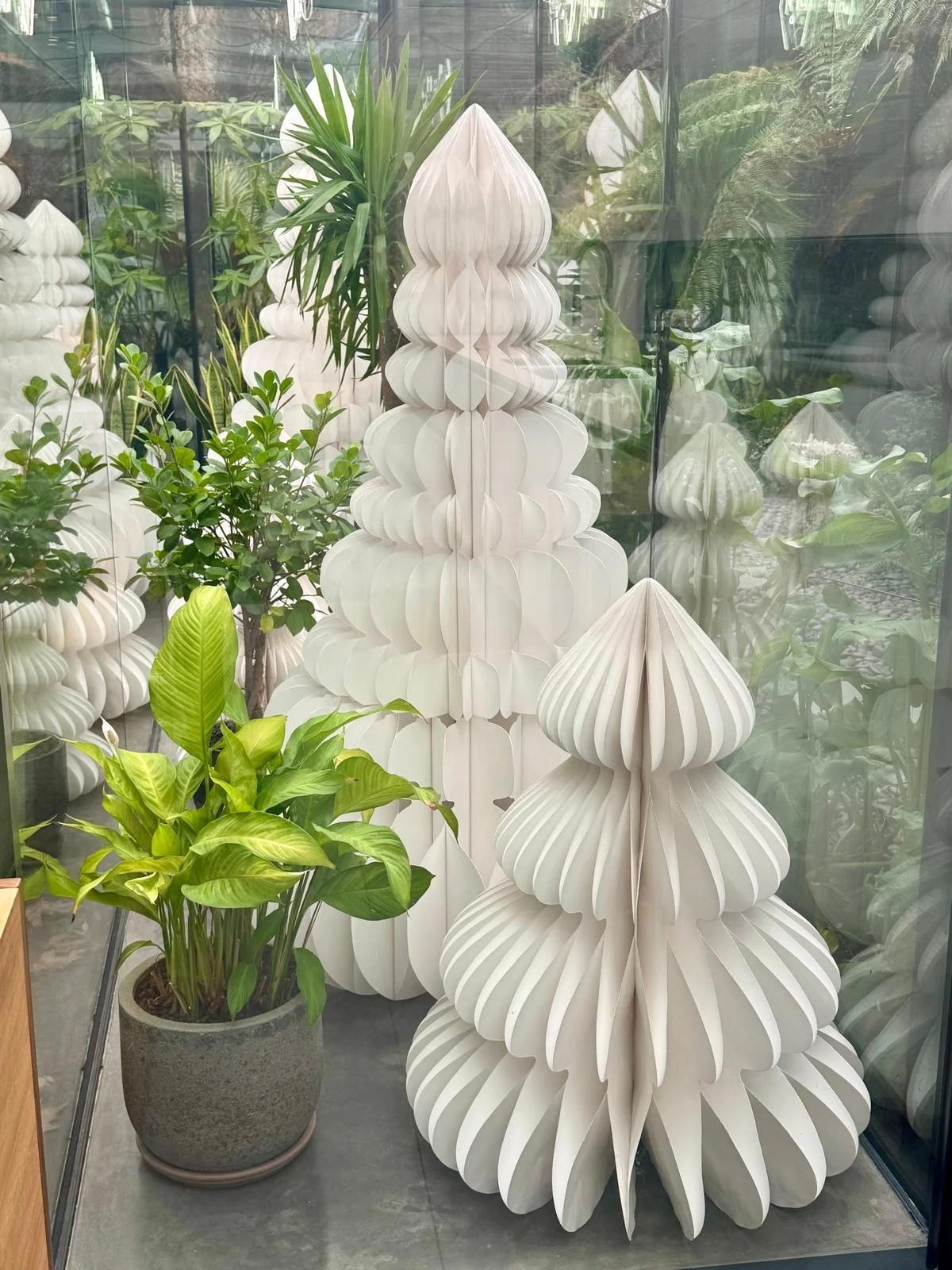 Indoor display of white decorative paper sculptures resembling abstract trees, surrounded by green potted plants, in a glass-enclosed space with reflections of more plants.