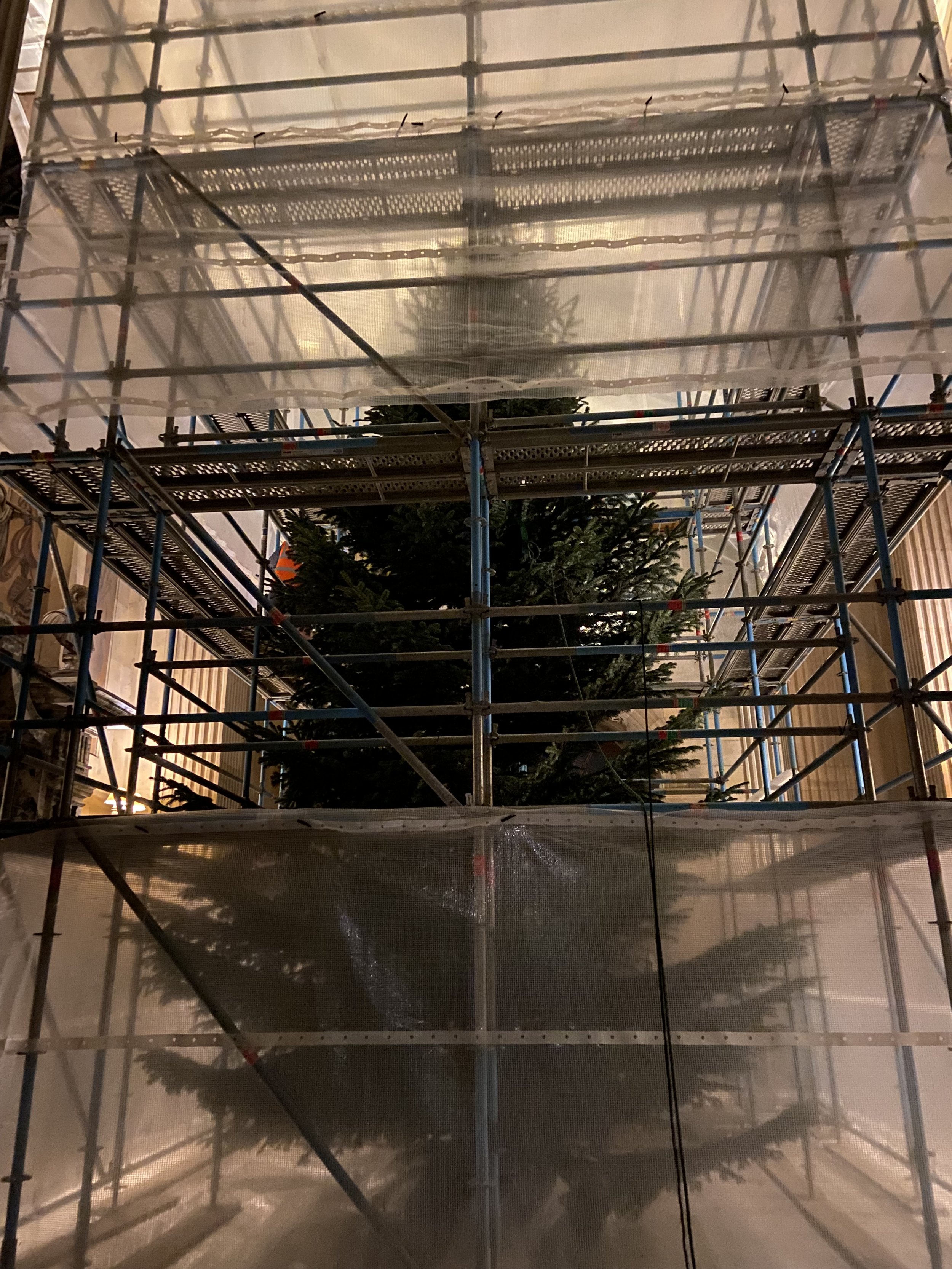 A Christmas tree behind scaffolding and protective netting indoors.