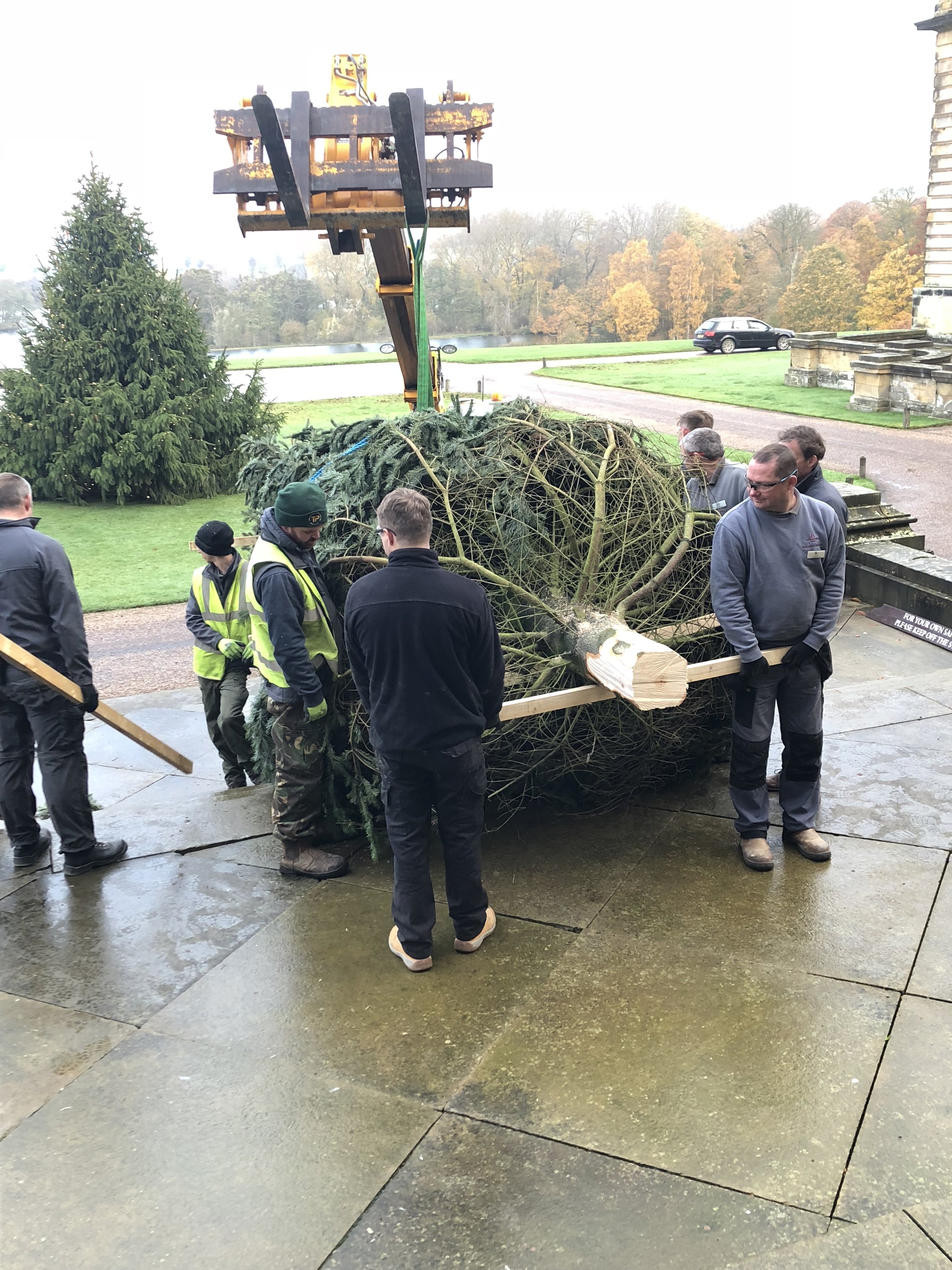 A group of people working together to carry a large fallen tree trunk outside a building, with a crane visible above them.