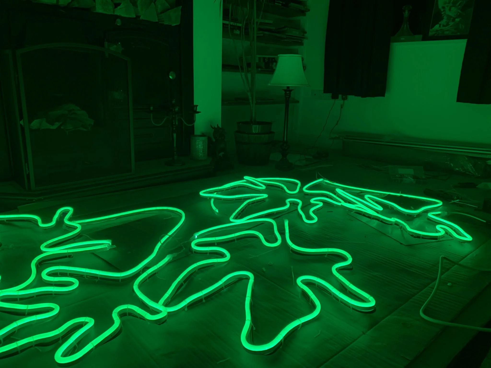 Green neon outline of a map of the United States on a dark floor, with various household objects and furniture in the background, including a lamp, shelves, and a glass cabinet.