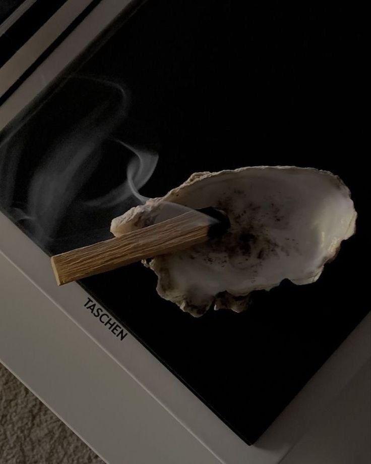 A steaming bowl of soup with a wooden spoon resting on top, placed on a black surface with the brand name 'TASCHEN' visible.