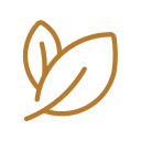 A simple line drawing of two leaves