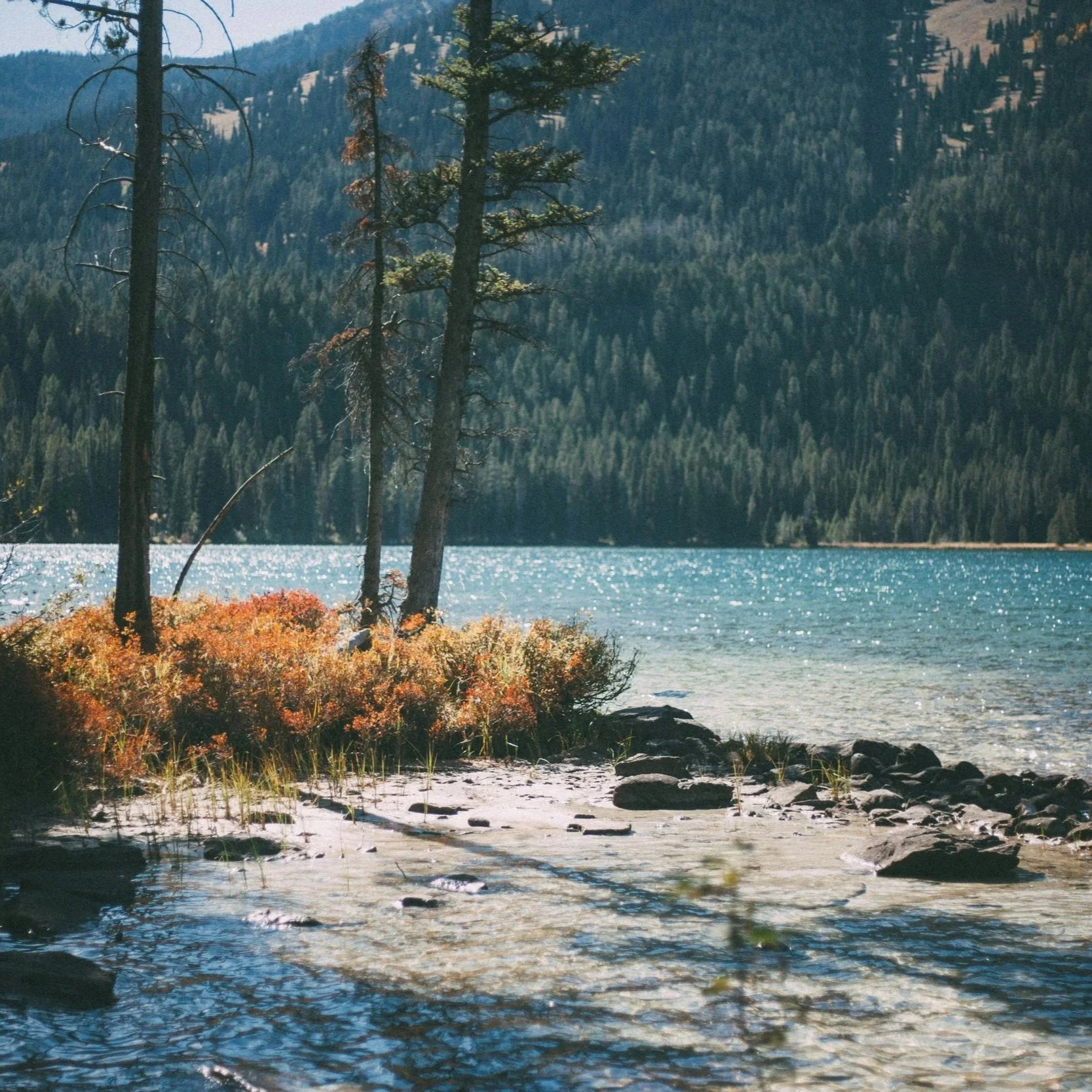 at the edge of cold water.