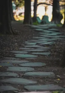 a path made by walking.