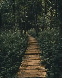 all the roads to now.