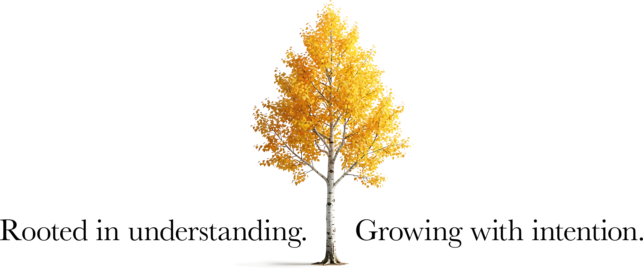 A tall tree with yellow autumn leaves and a white trunk, with the quote "Rooted in understanding. Growing with intention."