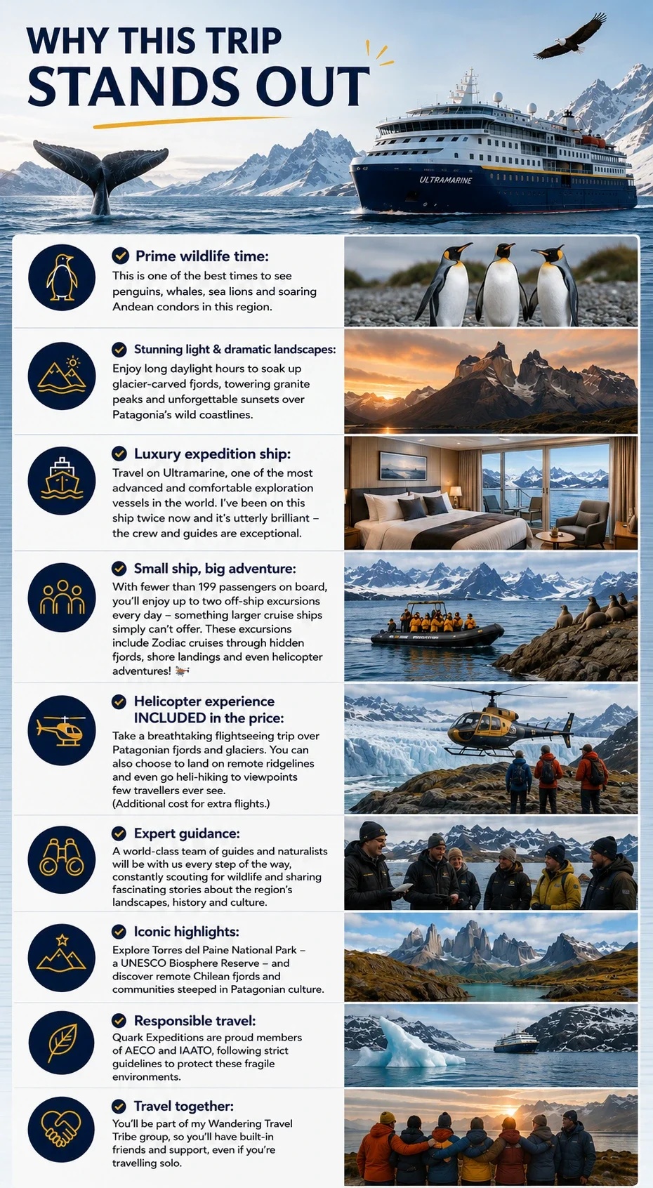 Infographic showing reasons to take a cruise in Patagonia, including wildlife viewing, scenery, luxury, adventure, helicopter tours, expert guidance, highlights, responsible travel, and group support, with images of whales, penguins, mountains, ships, helicopters, guides, and travelers.