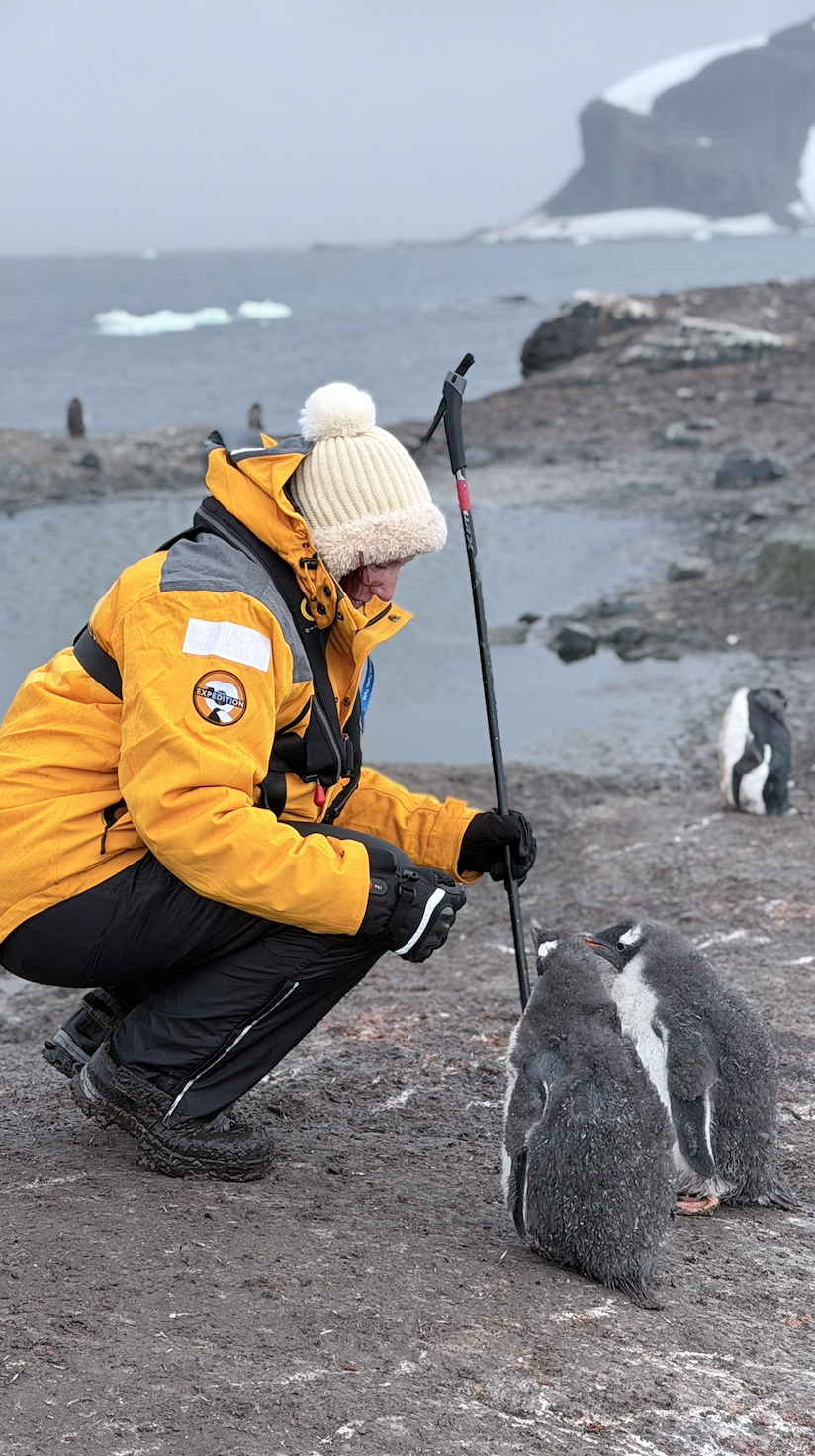 A person dressed in a yellow winter jacket and a beige knit hat crouching down on rocky terrain, holding a black and red trekking pole, smiling at three penguin chicks near a body of water with ice and glaciers in the background.