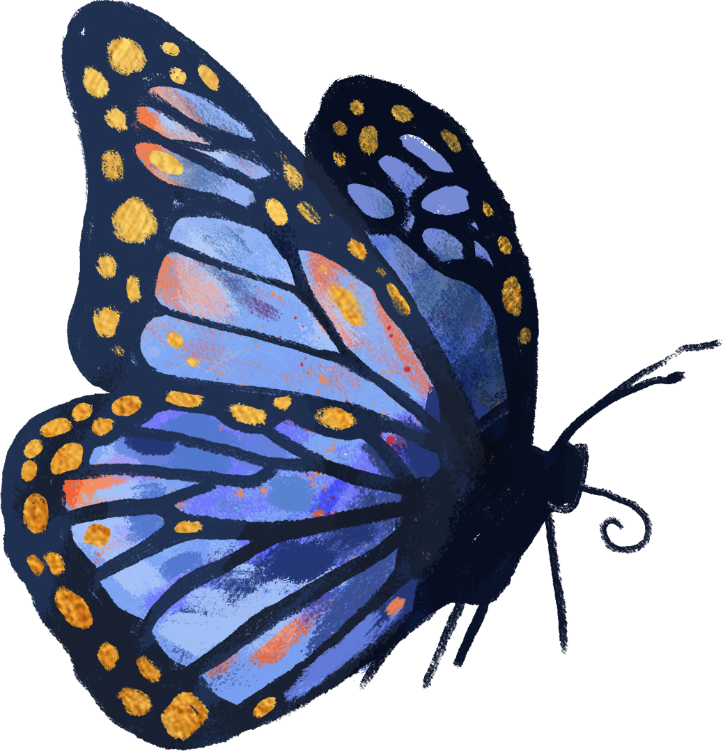 blau-oranger illustrierter Schmetterling, sitzend