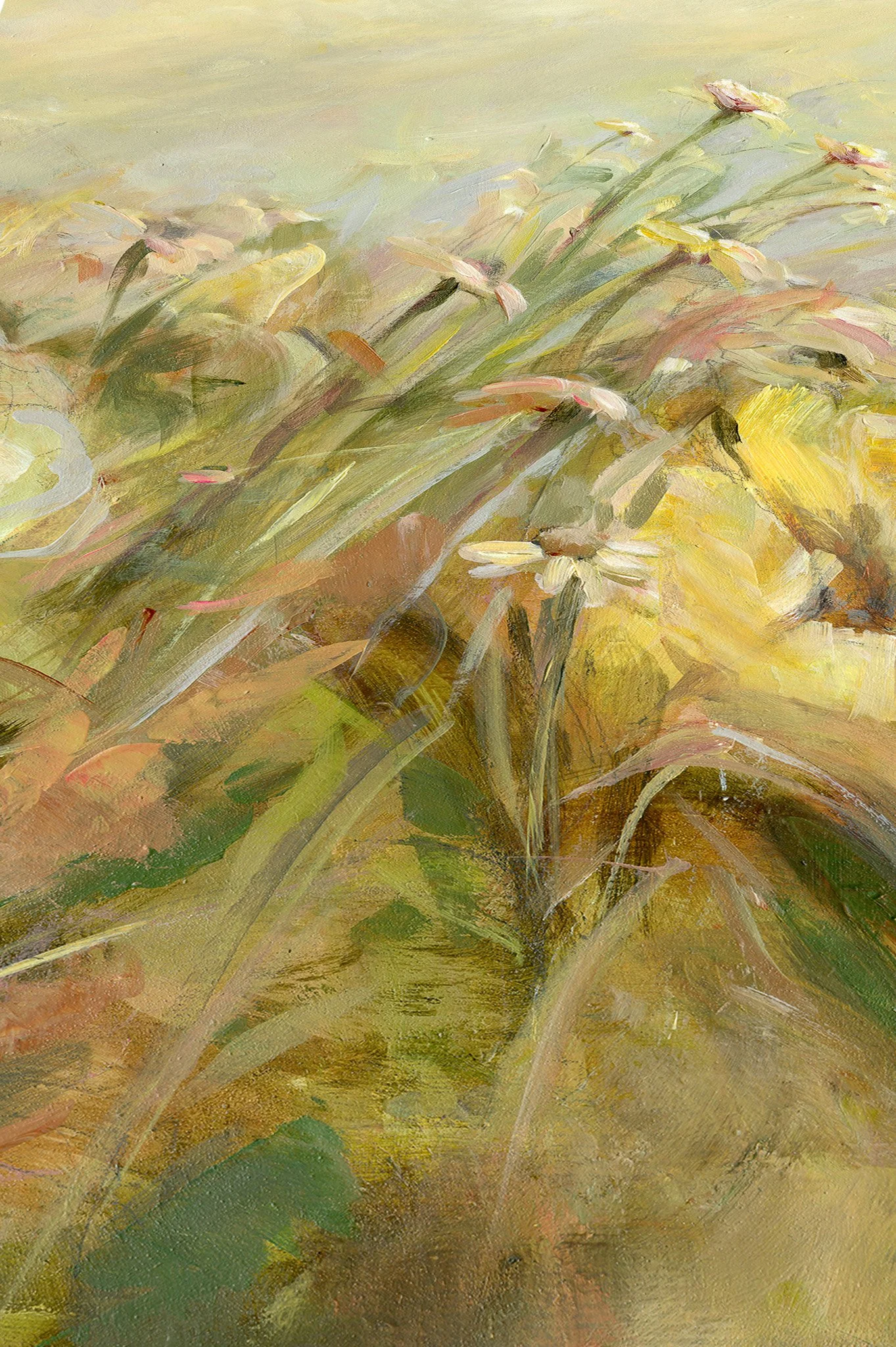 Tender Light Details.jpg
