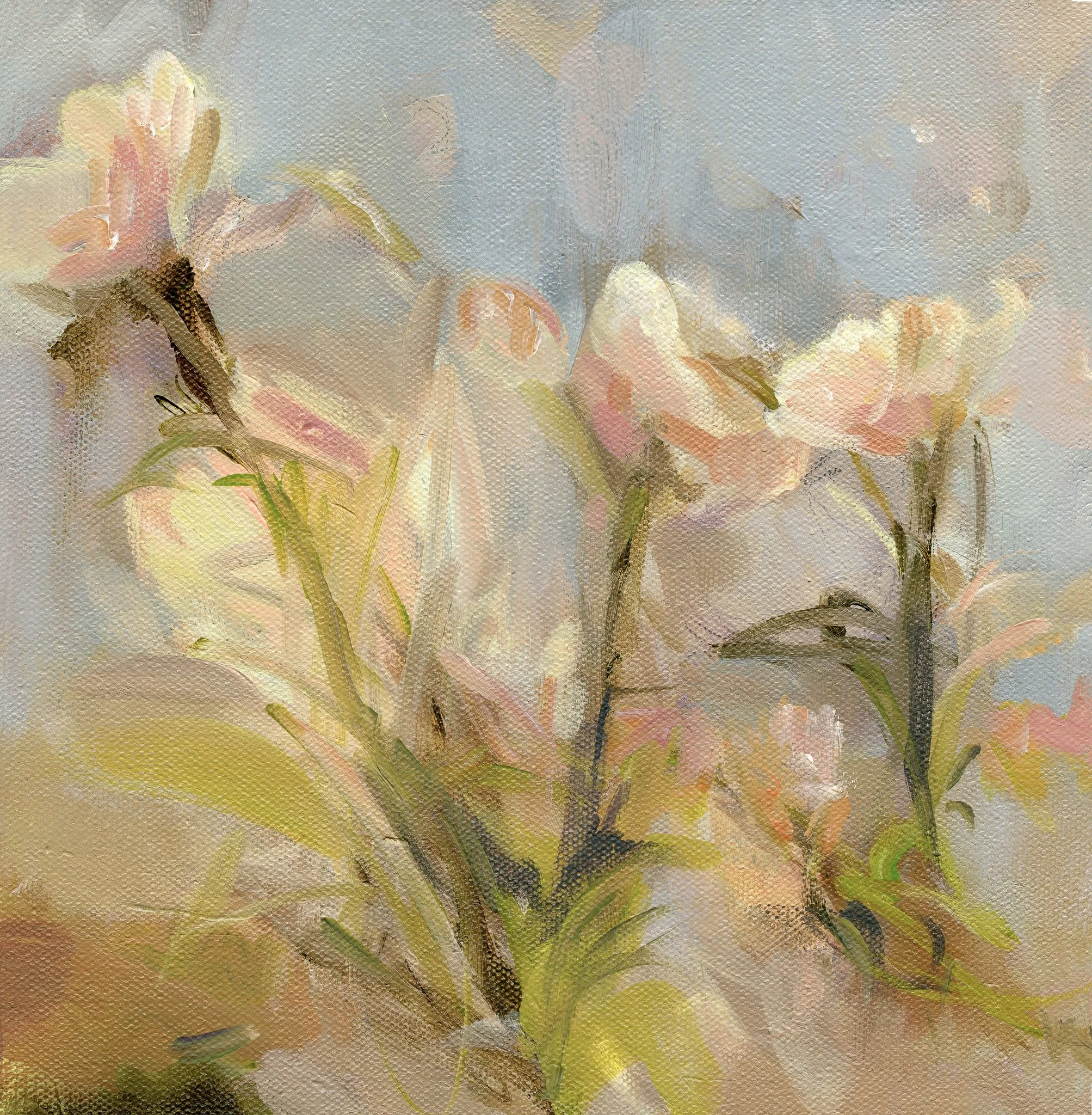 Where Morning Finds the Flowers.jpg