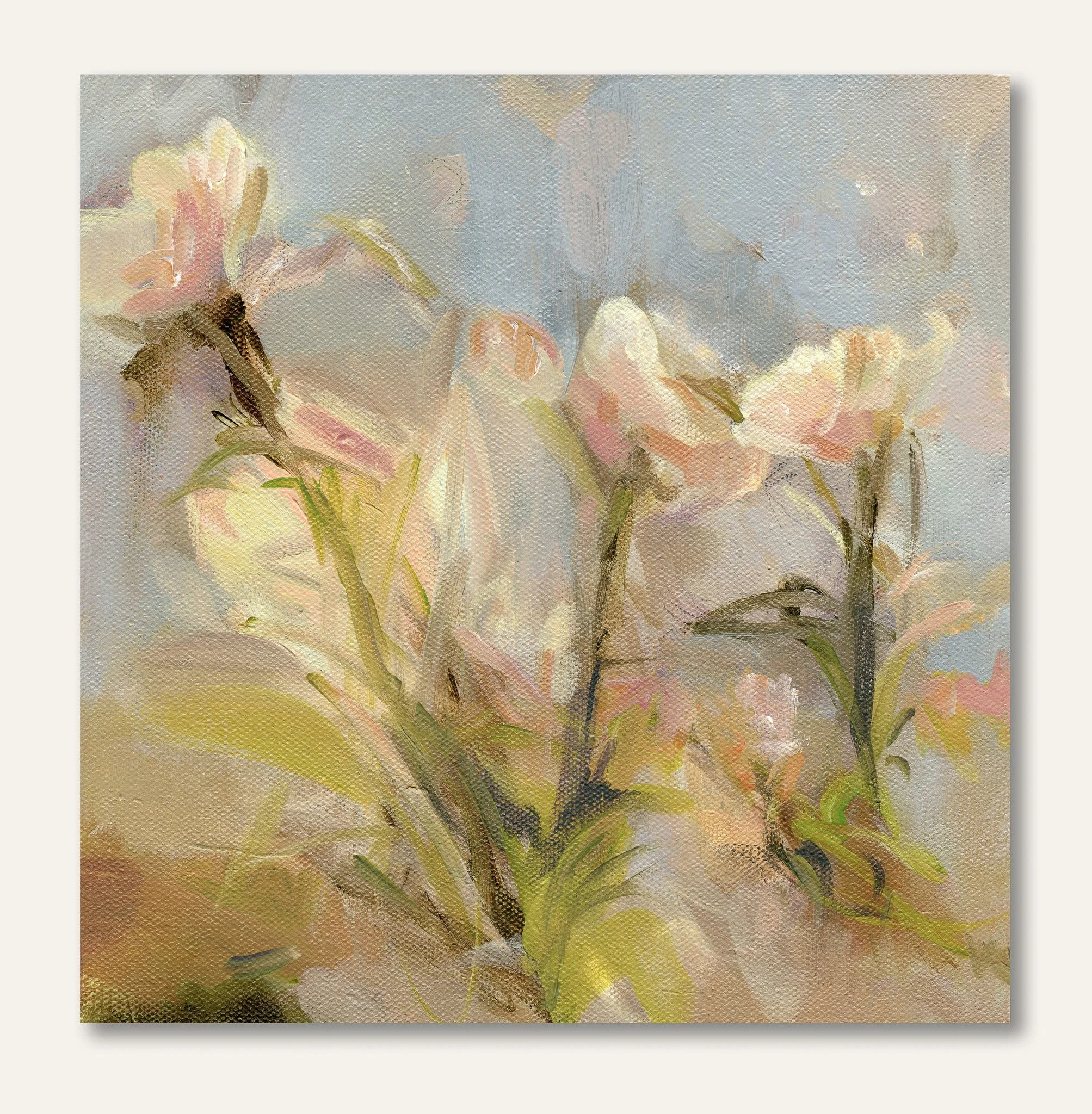 Where Morning Finds the Flowers