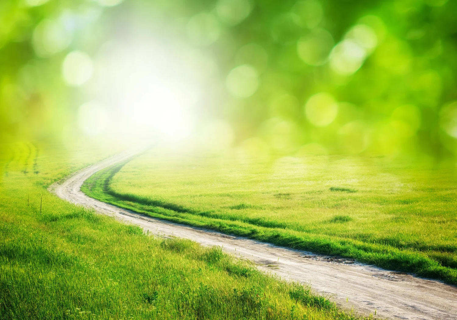 A sunlit path forward