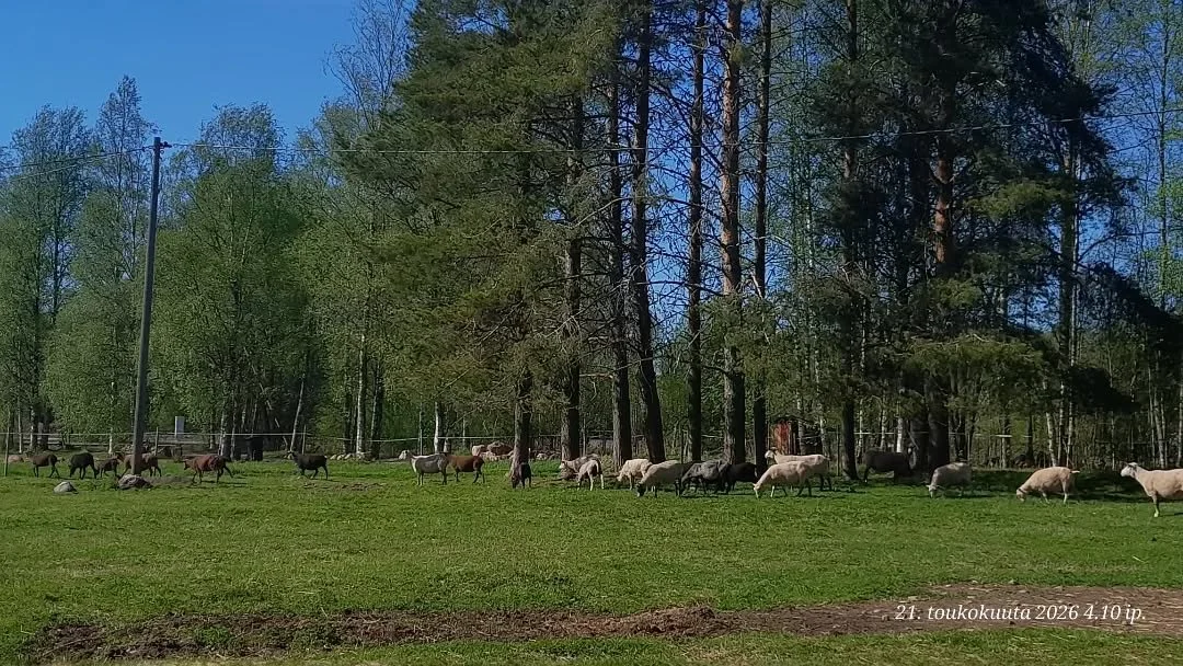 Kes&auml;n l&auml;hestyminen on heti heijastunut someaktiivisuuteen: tarinaa ja kuvamateriaalia olisi yllin kyllin, aikaa ei.

Yksi etappi t&auml;lt&auml; kev&auml;&auml;lt&auml; on nyt kuitenkin saavutettu. Nimitt&auml;in kaikilta  33 aikuiselta lam