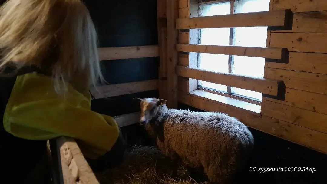 Tervetuloa joukkoon Vanha-Leinosen Iivari, joka sai heti lempinimen  Hali-Iivari 😍 @vanha_leinonen

Eik&ouml; oo hurjia otuksia n&auml;&auml; p&auml;ssit🤭