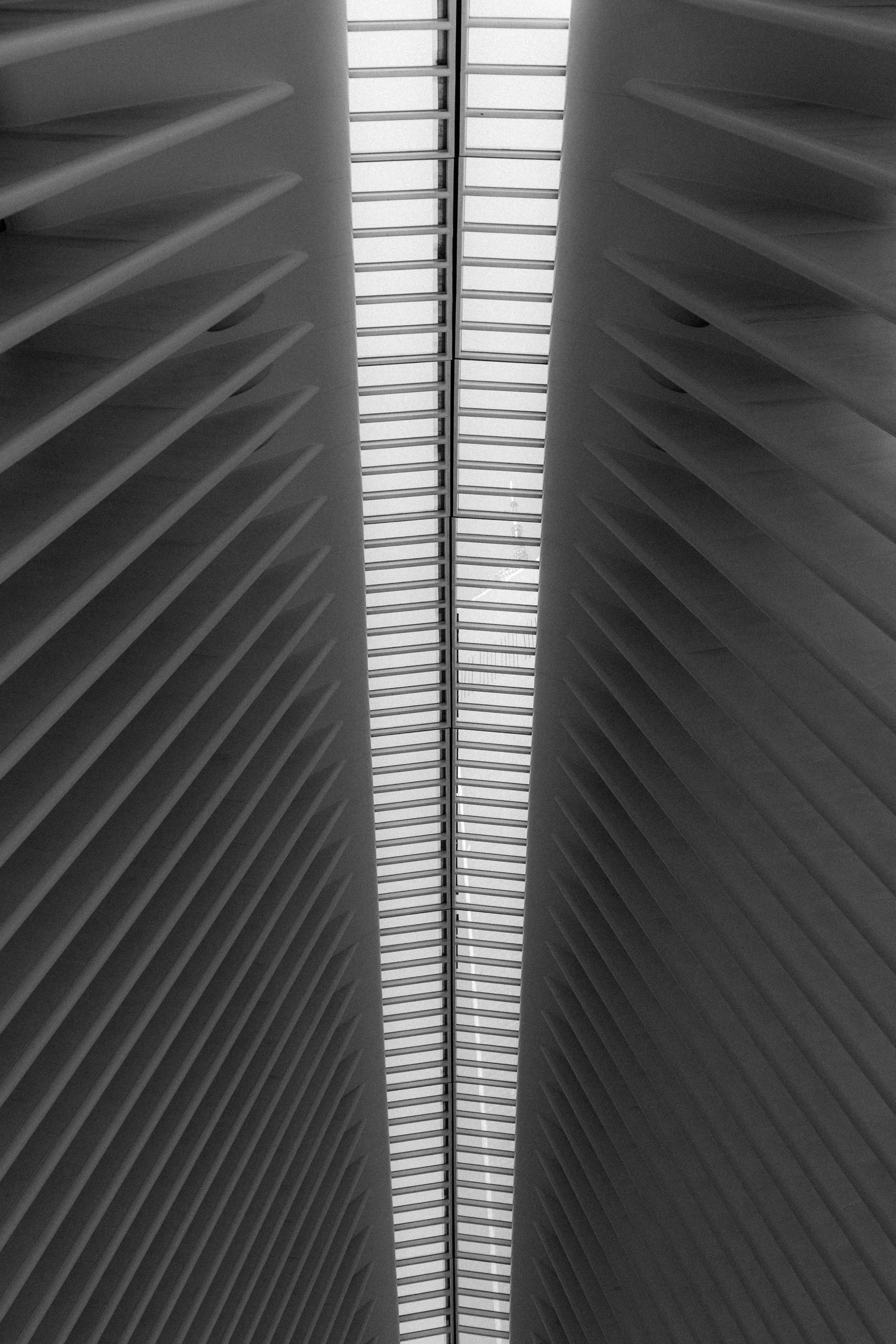 250624_TRAVEL_NYC_4183.jpg