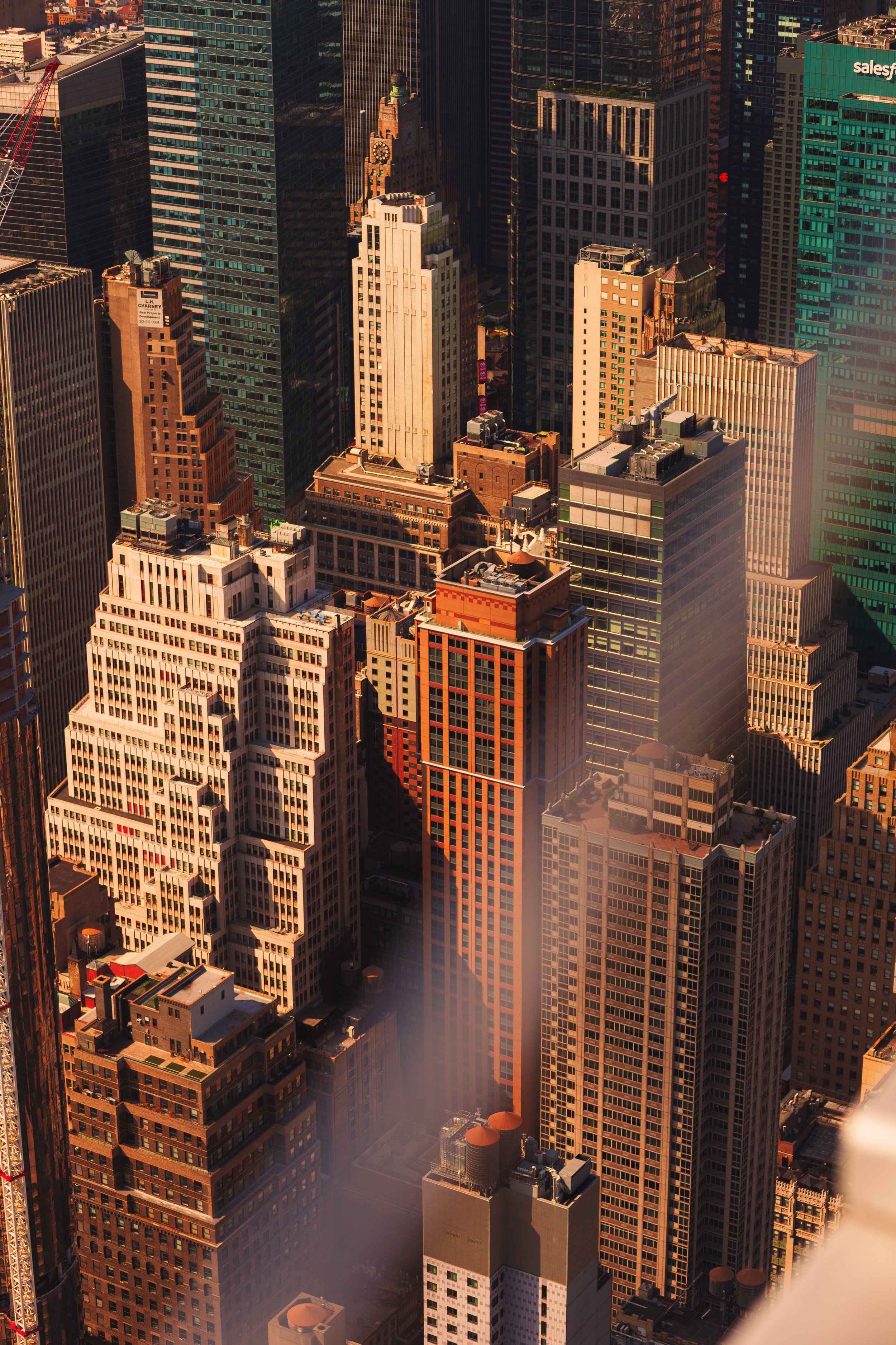 250624_TRAVEL_NYC_4426.jpg