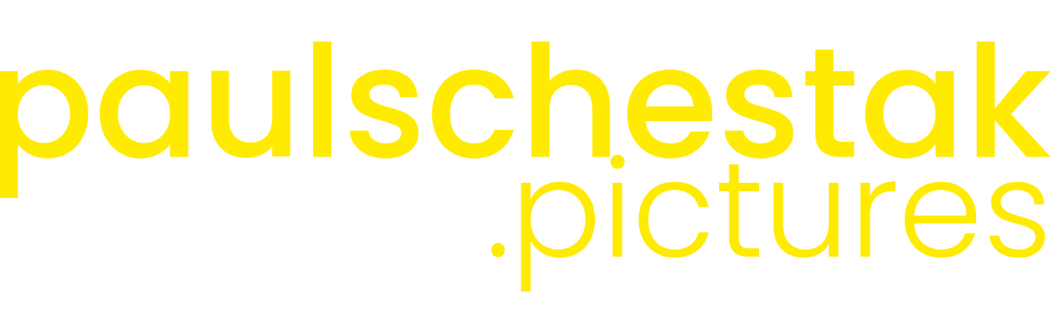 PAULSCHESTAK.PICTURES