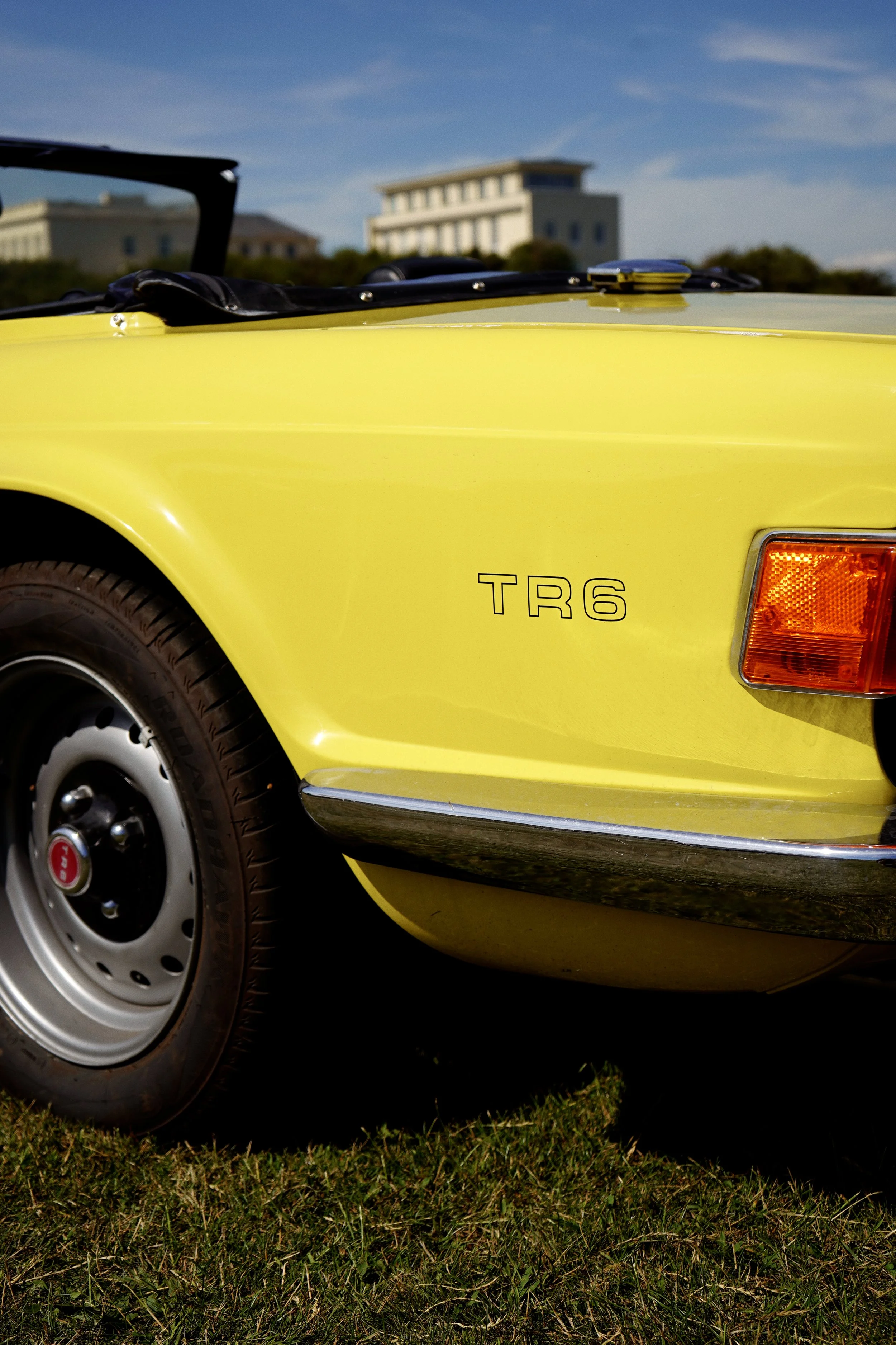 Tezza-3857.JPG