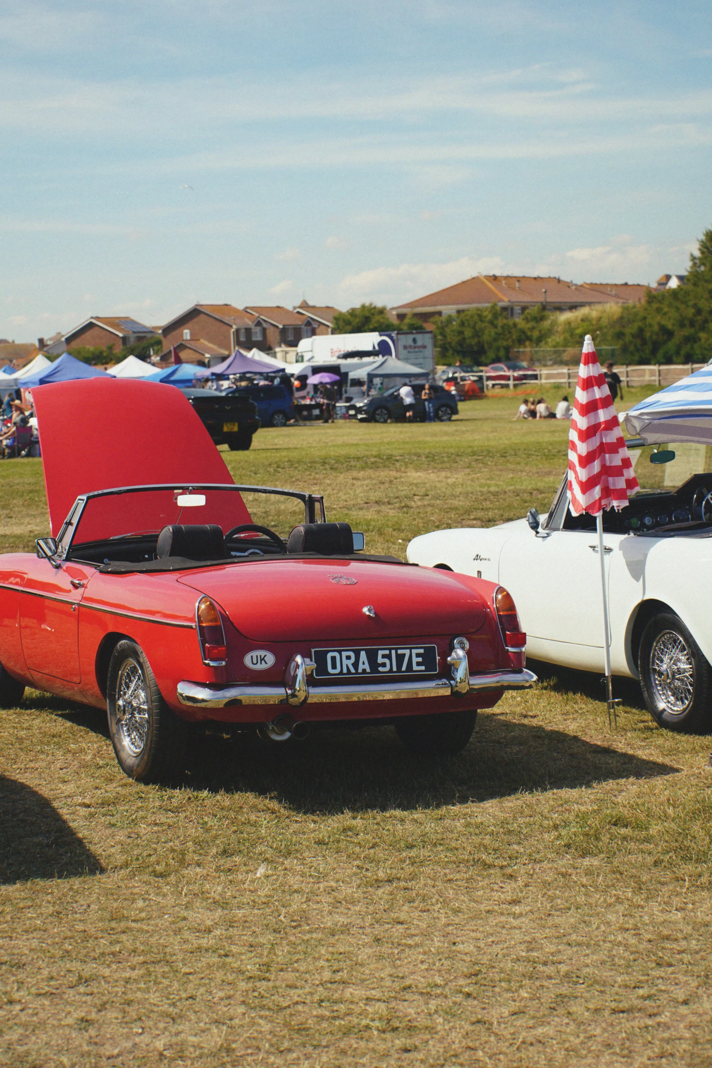 Tezza-4172.JPG