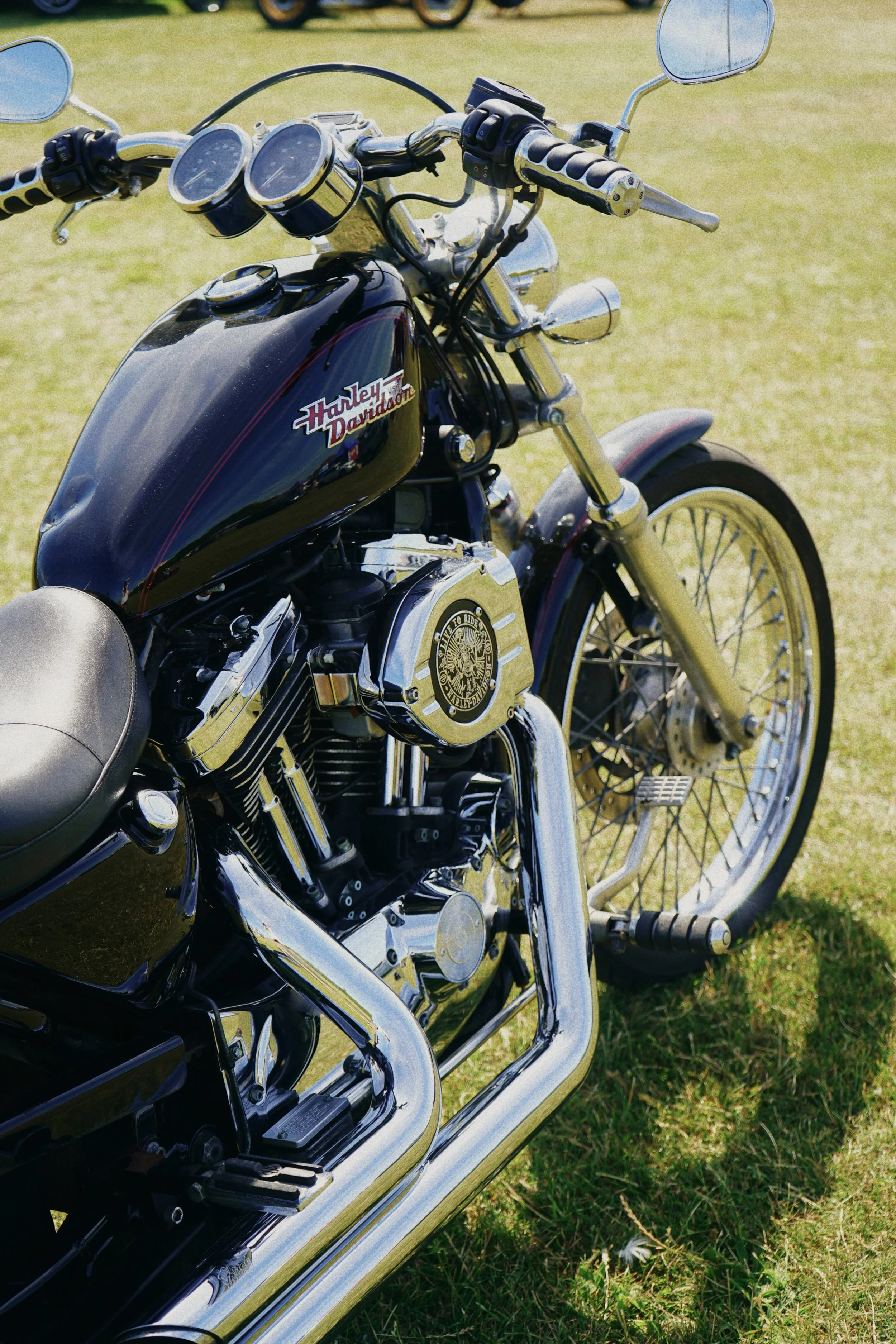 Tezza-4643.JPG