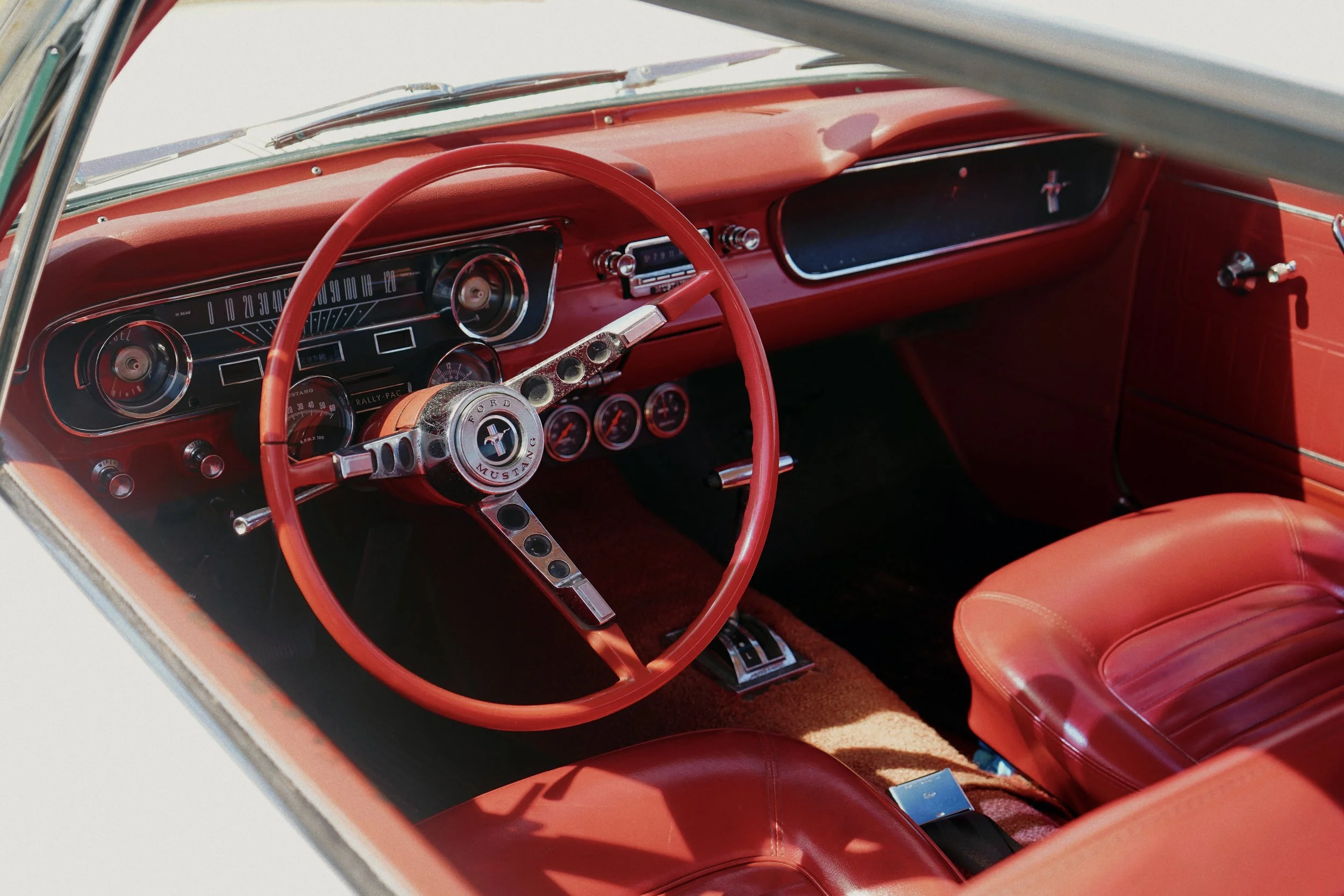 Tezza-8312.JPG