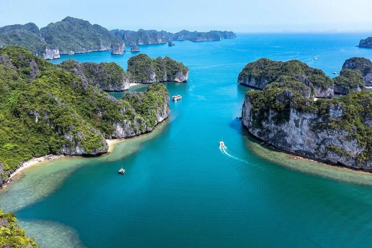image vietnam site internet.jpg